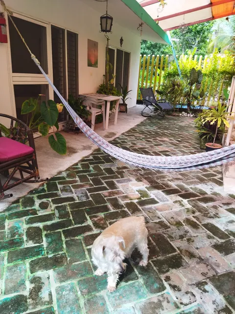 Hotel "Las Iguanas" image 2