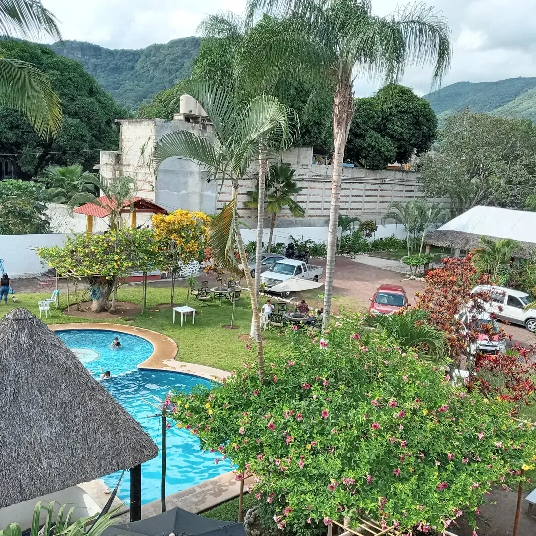 LapaLapa Restaurante image 4