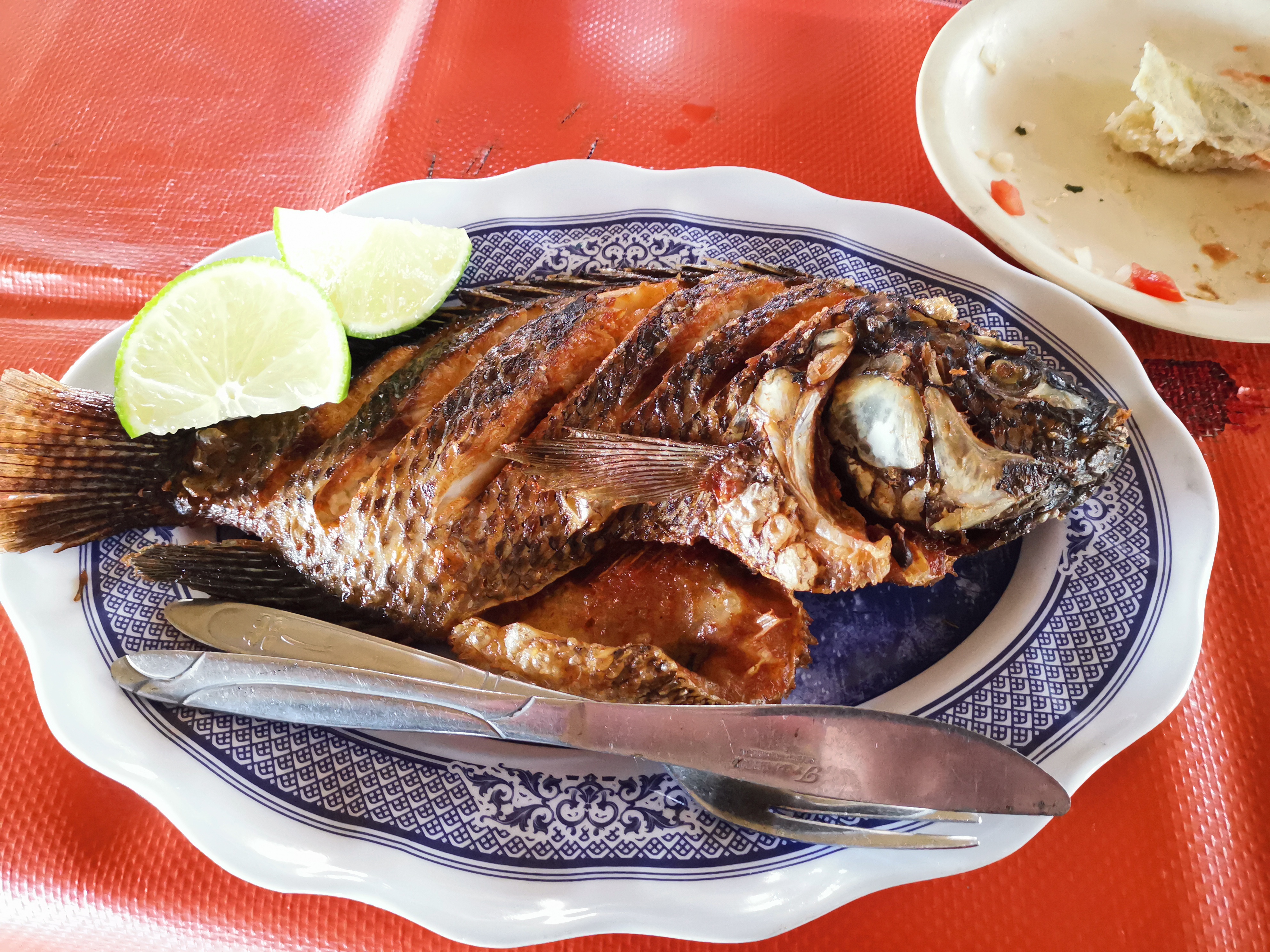 Palapa El Paraiso image 1