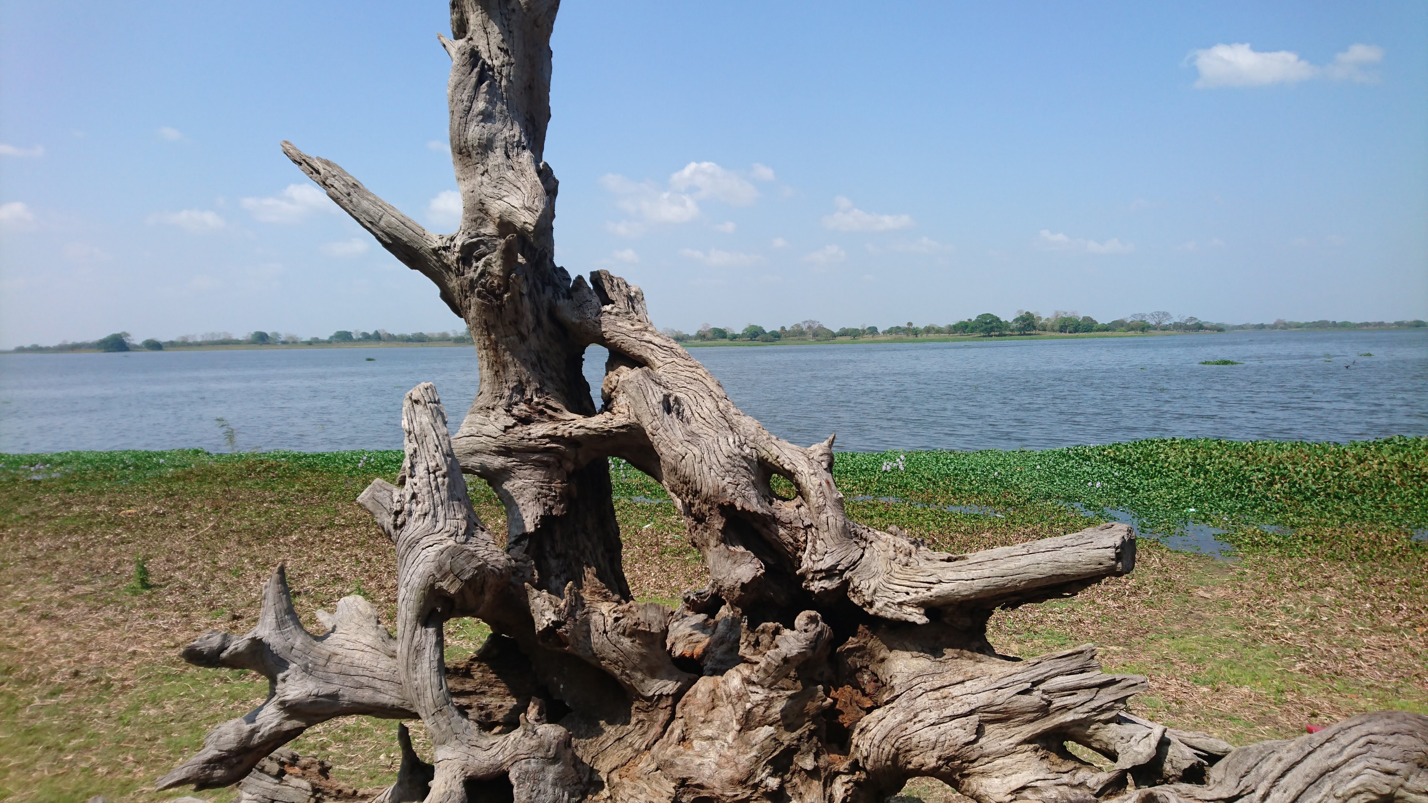 Palapa El Paraiso image 2