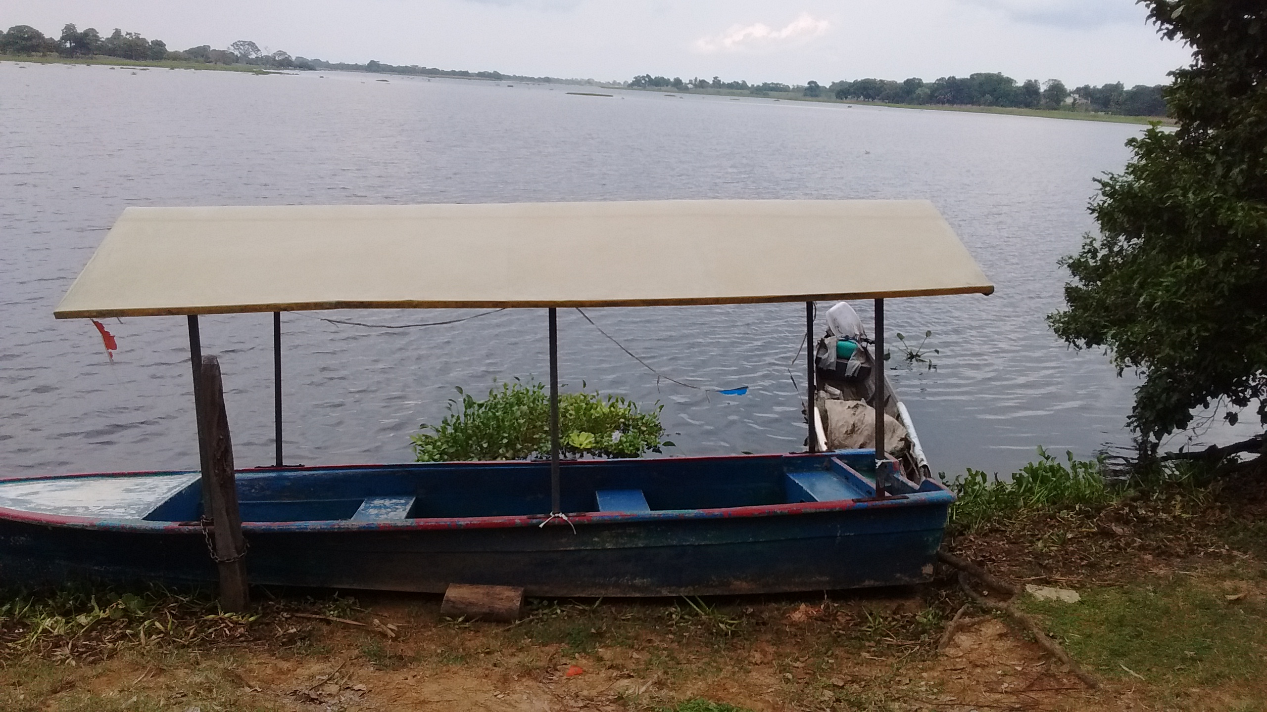 Palapa El Paraiso image 6