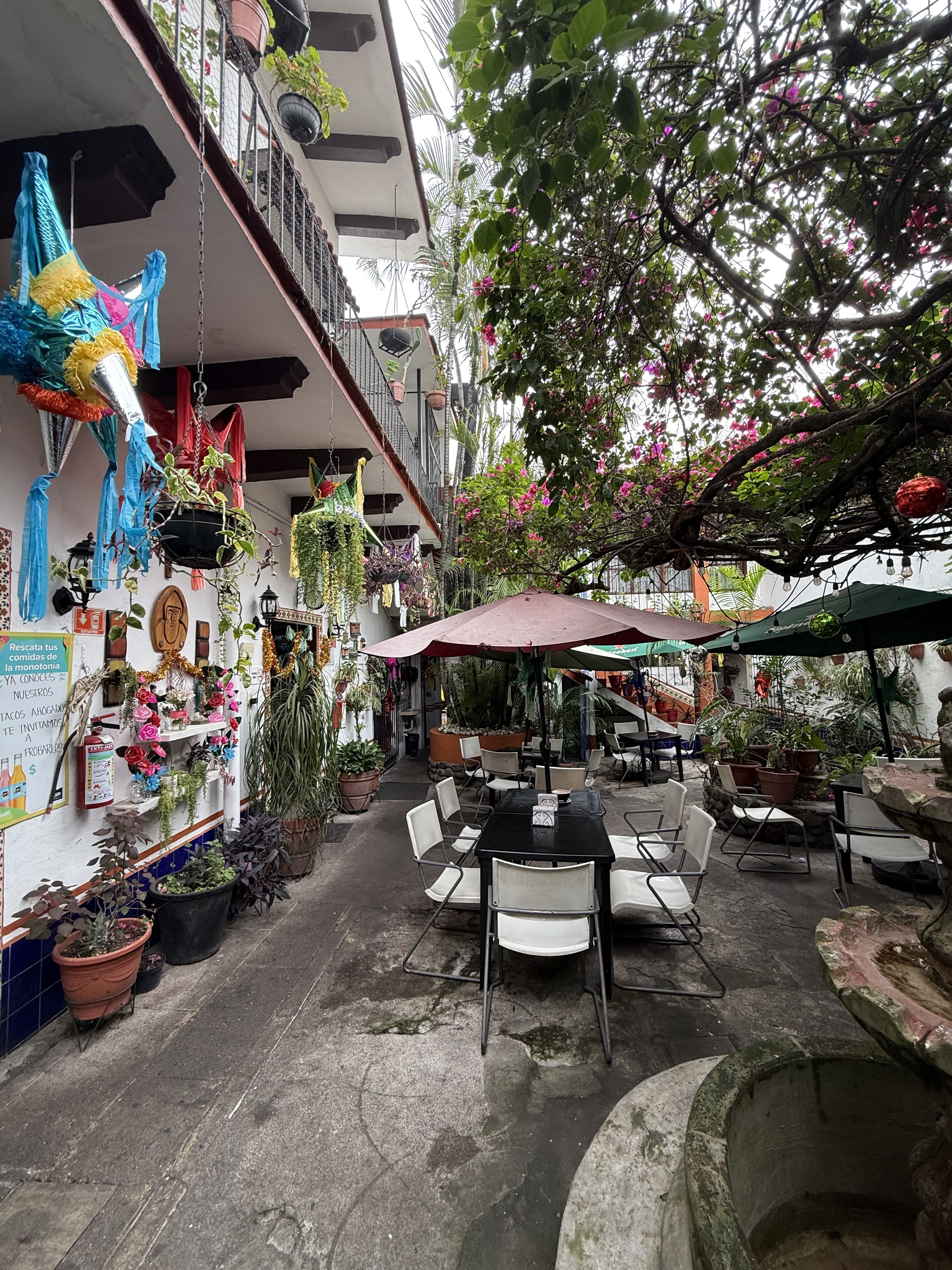 El Patio de la Abuela image 1