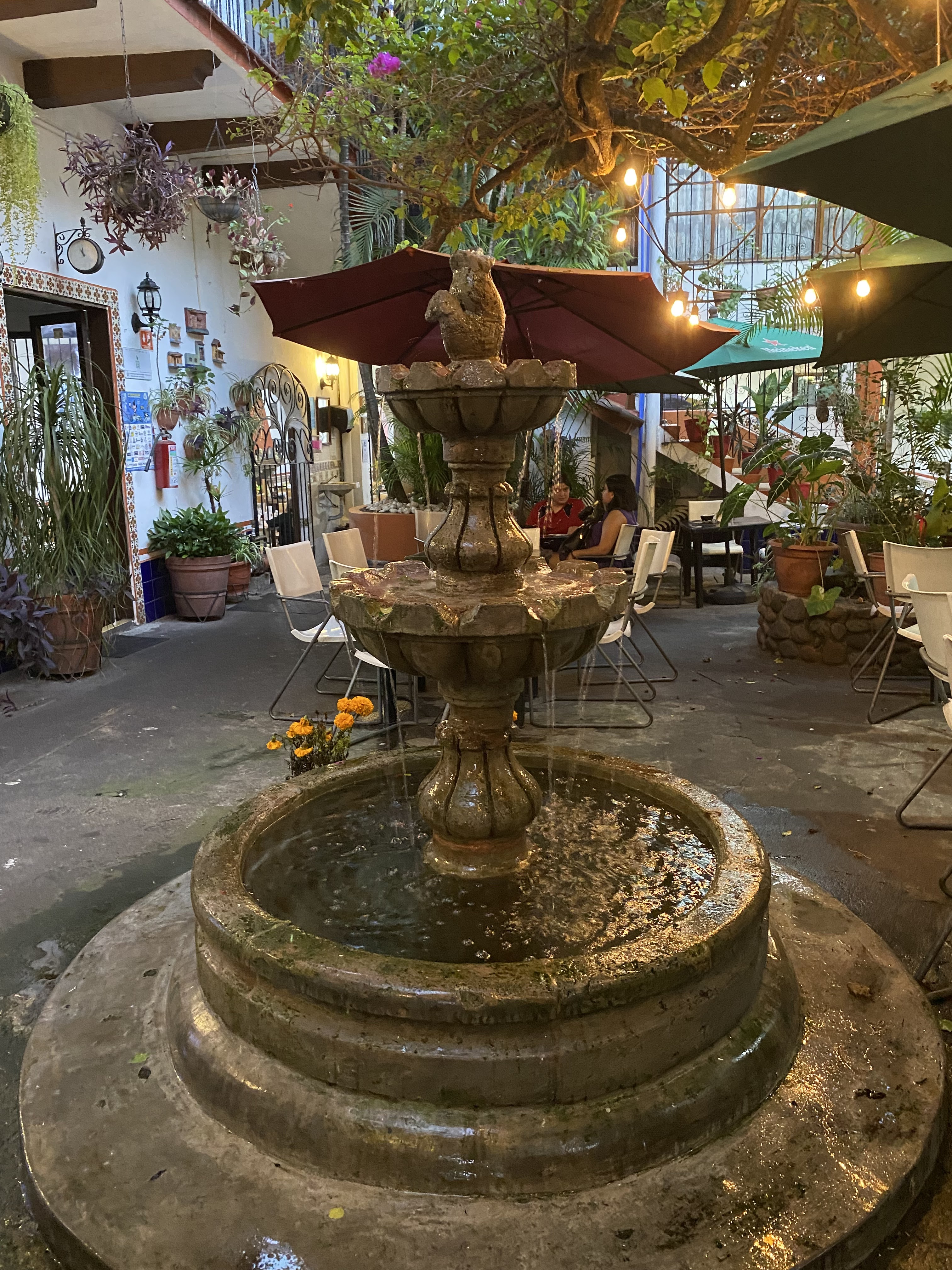 El Patio de la Abuela image 3