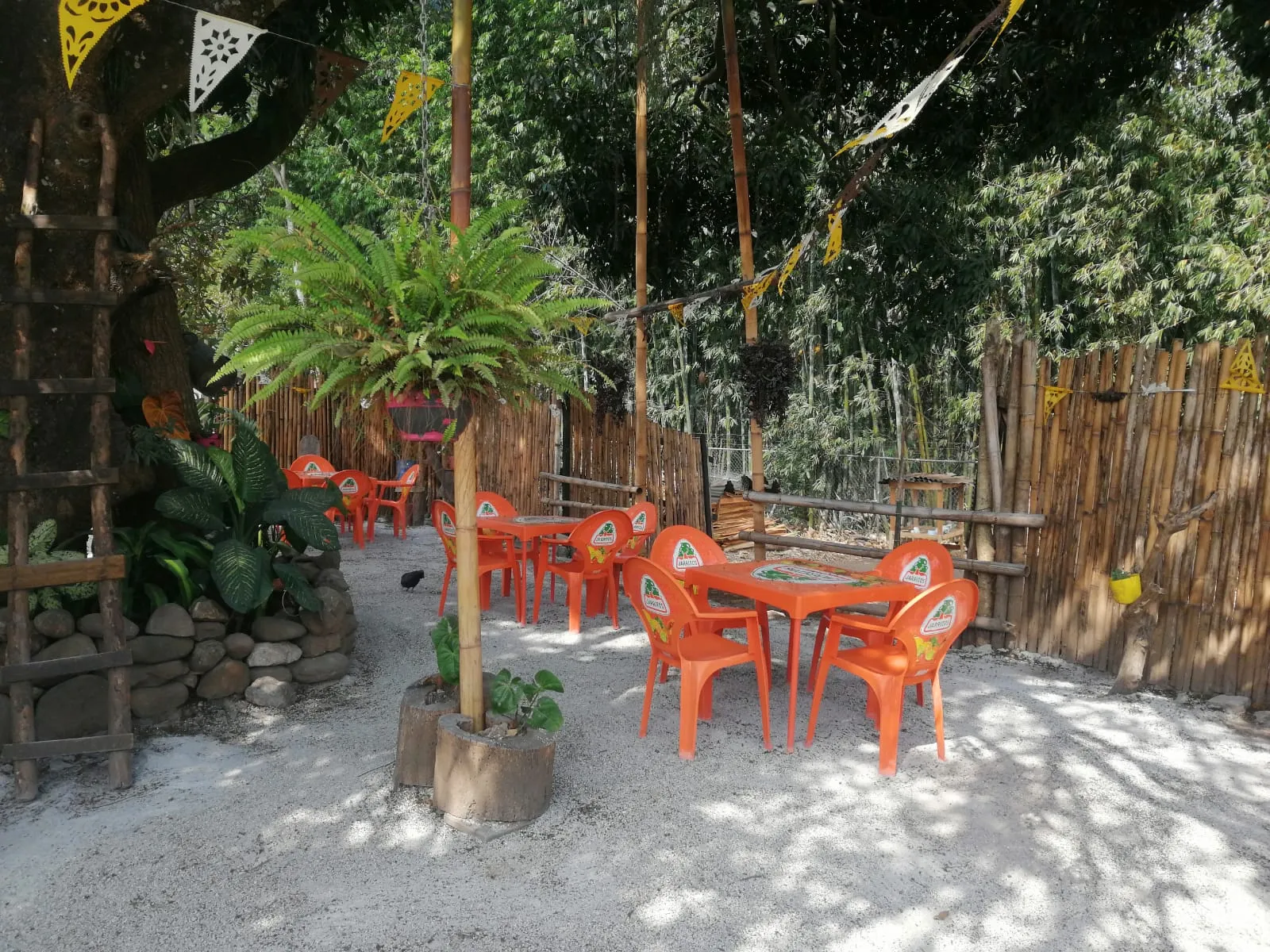 Asadero El Brazero Restaurante image 5
