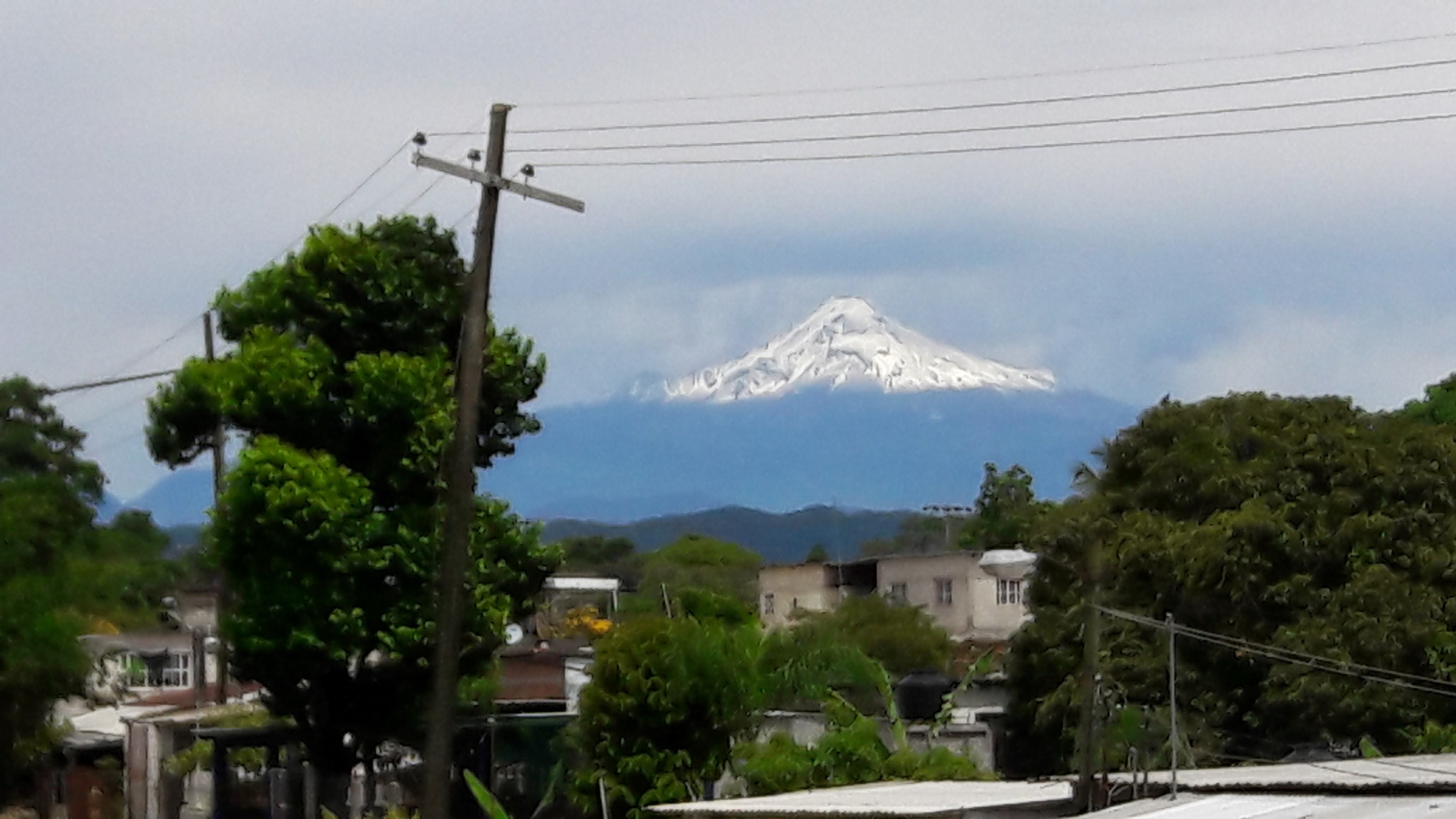 Retaurante "Rolando" Langostinos image 7