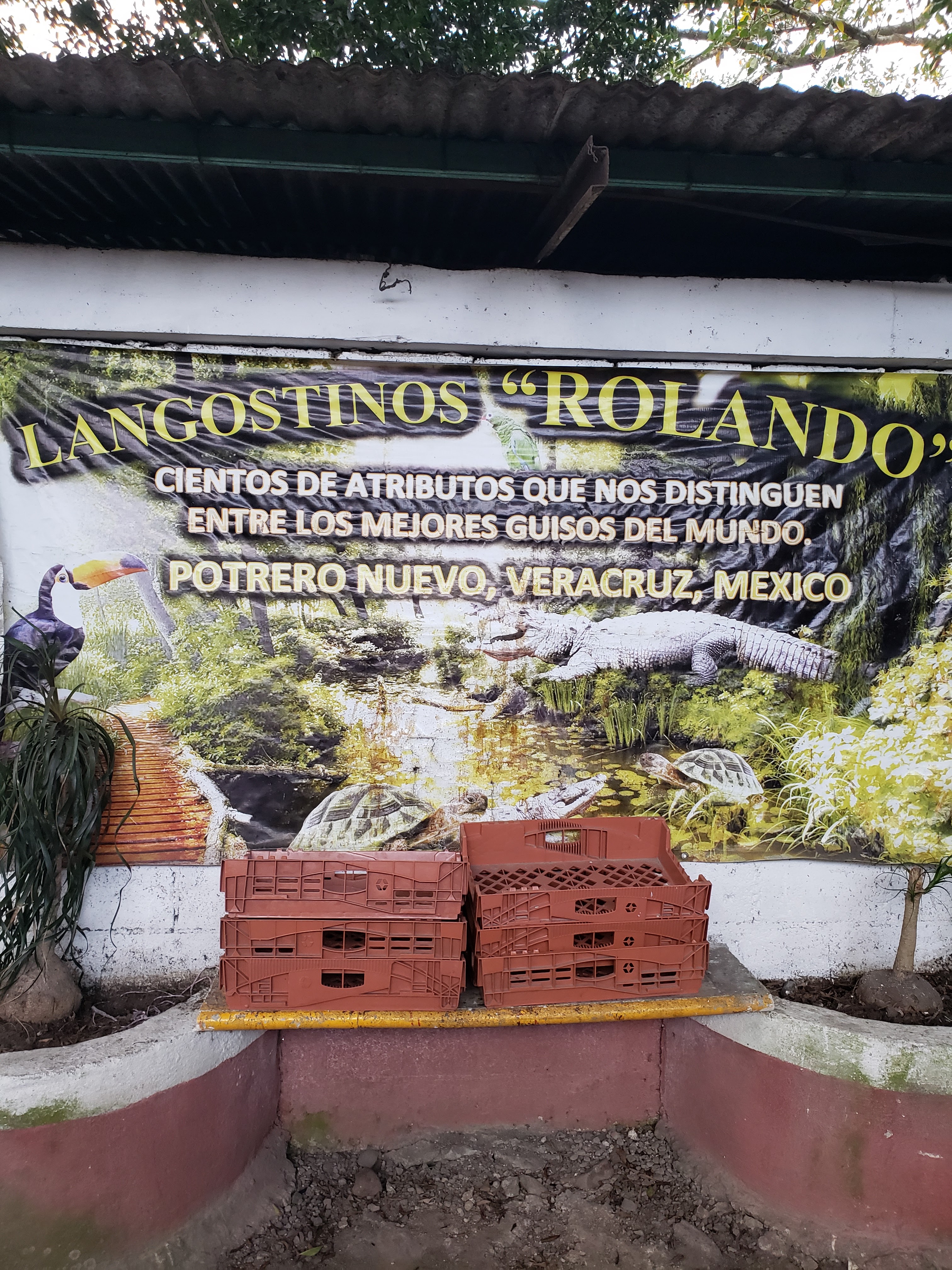 Retaurante "Rolando" Langostinos image 9