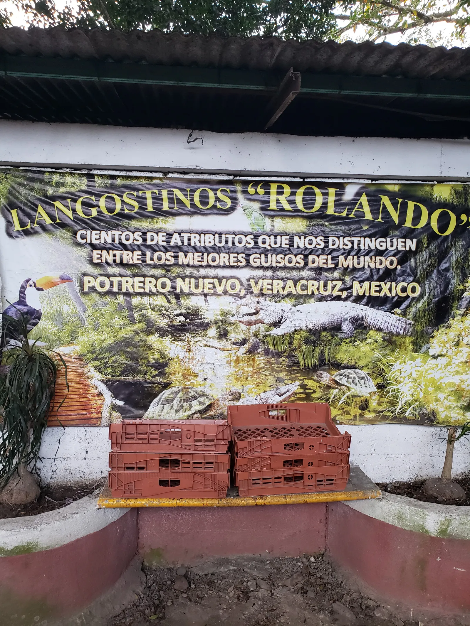 Retaurante "Rolando" Langostinos image 9