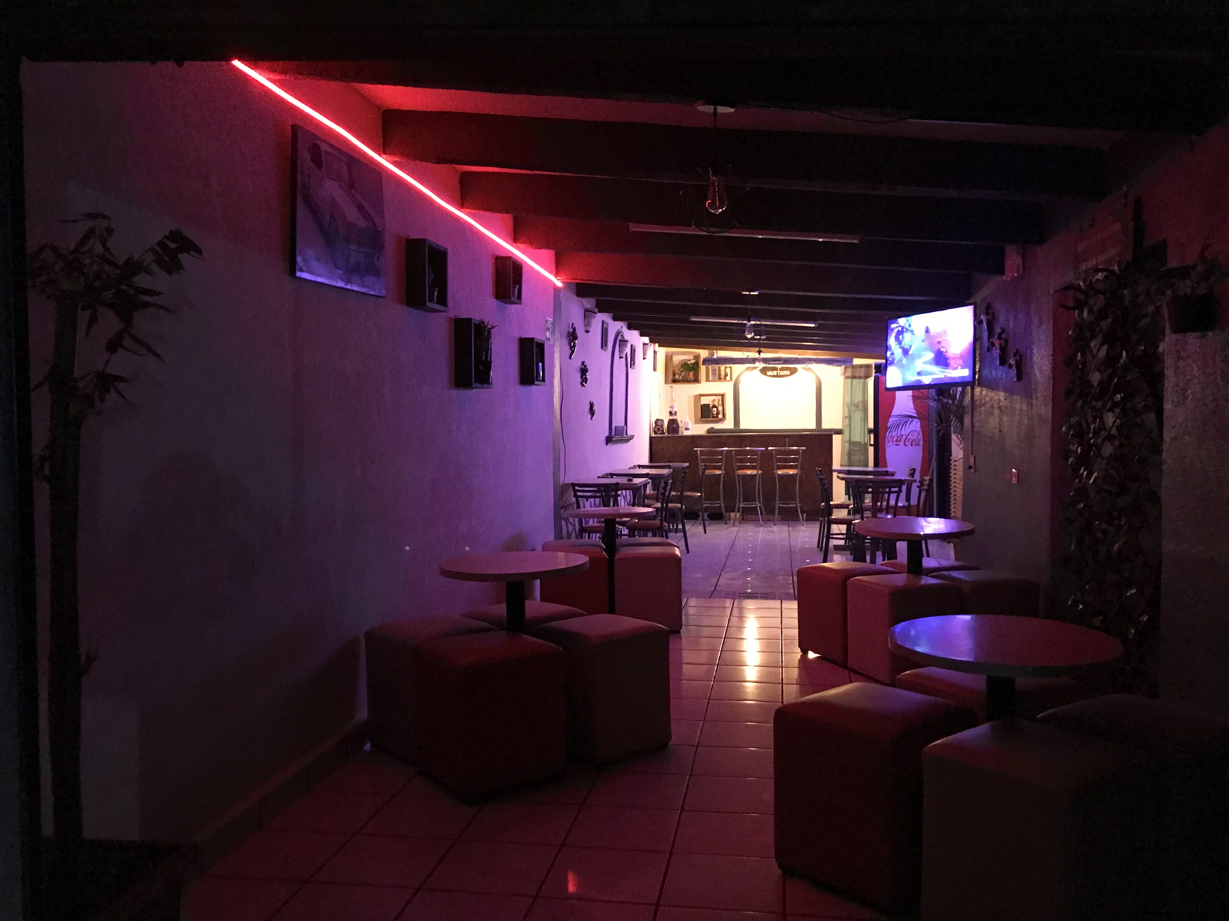 PATO'S La Venta image 4