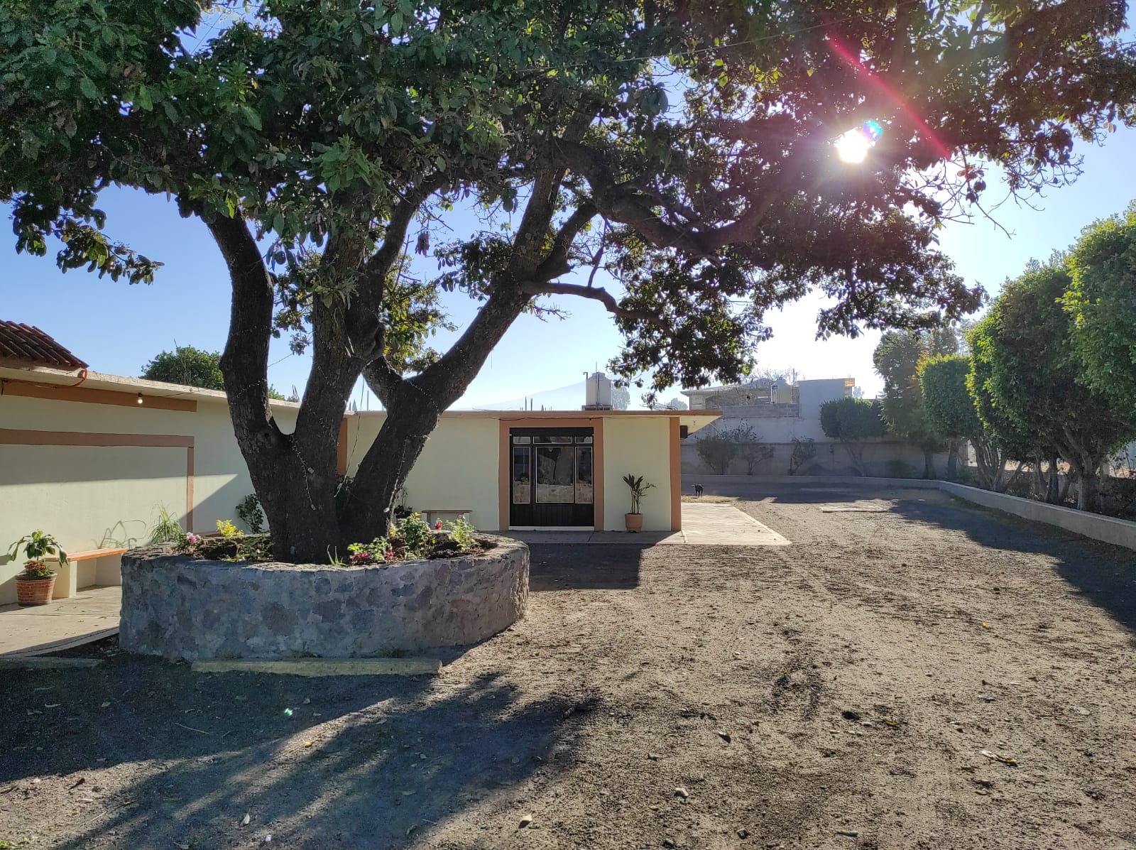 La Nueva California - Restaurante image 7