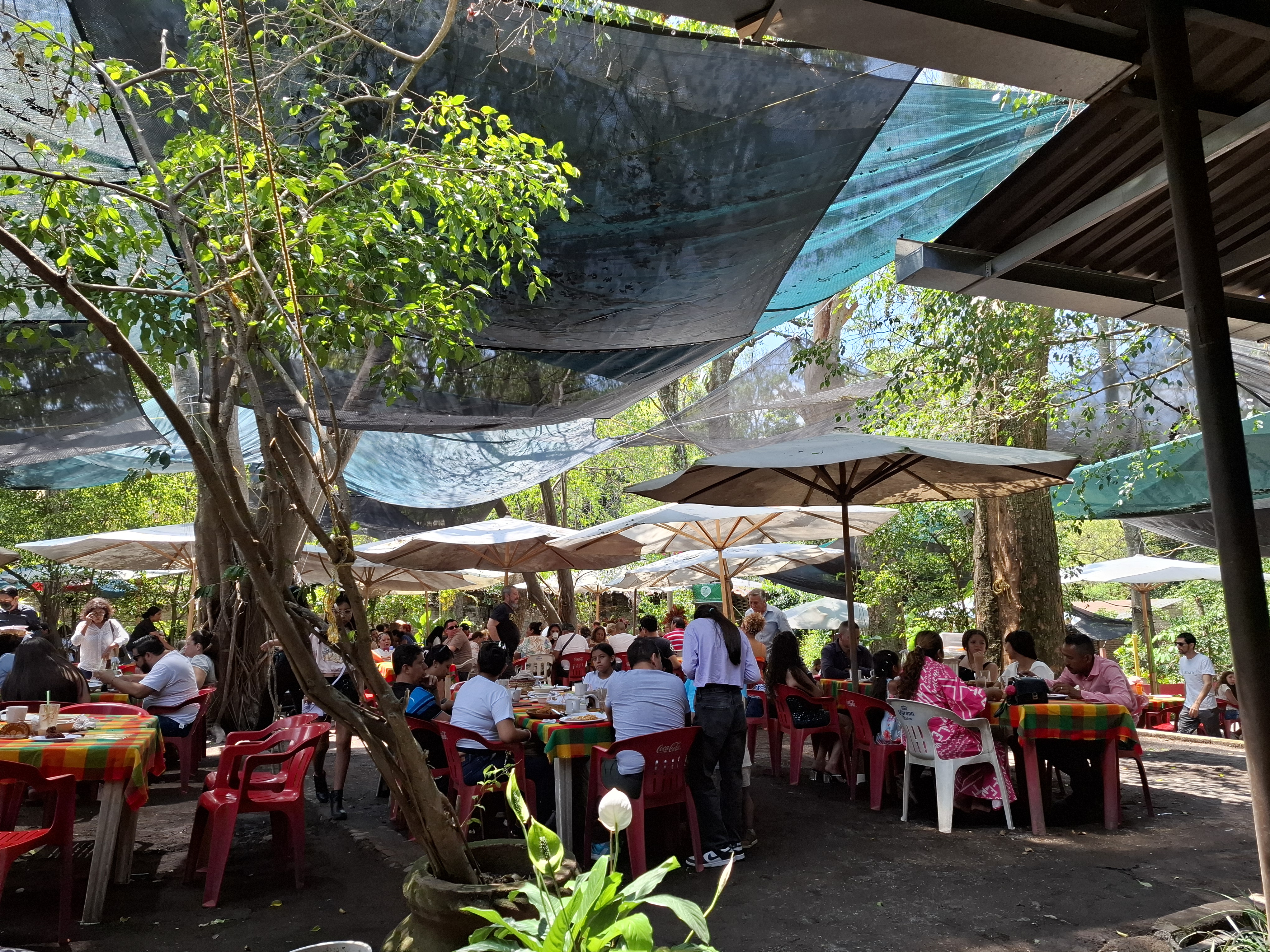 Los Portales de Suchitlán image 4