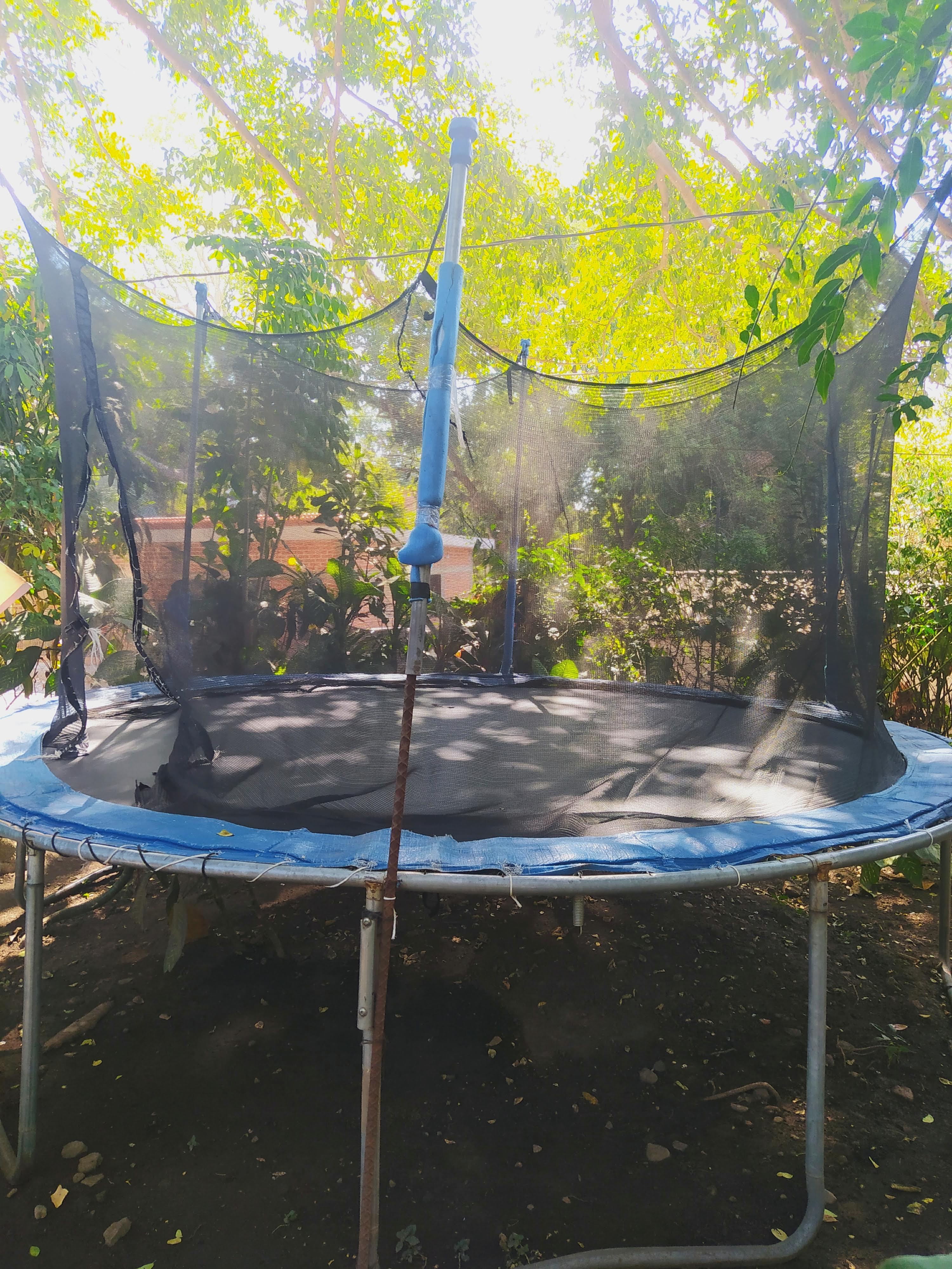 La Higuera de Suchitlan image 4