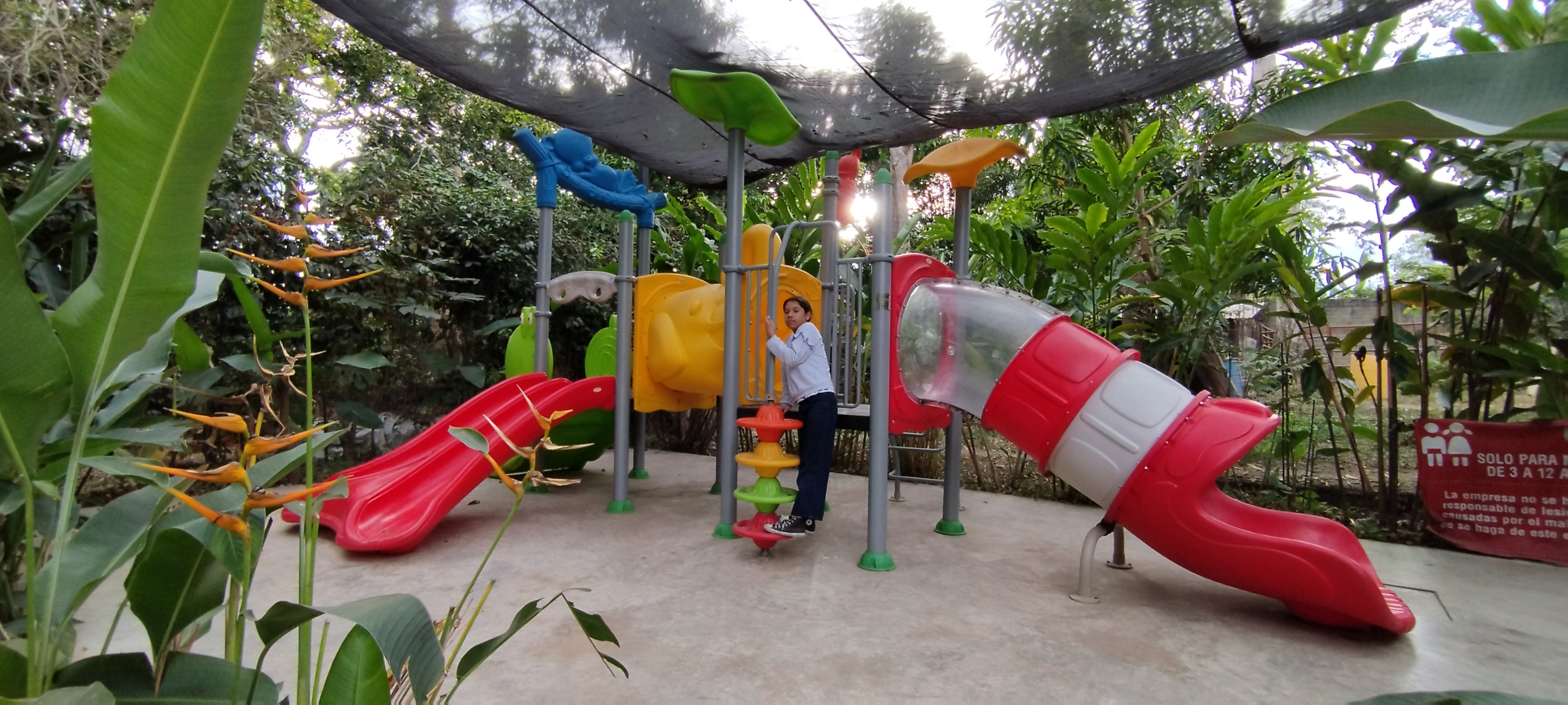 La Higuera de Suchitlan image 5