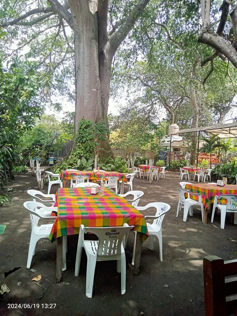 La Higuera de Suchitlan image 6