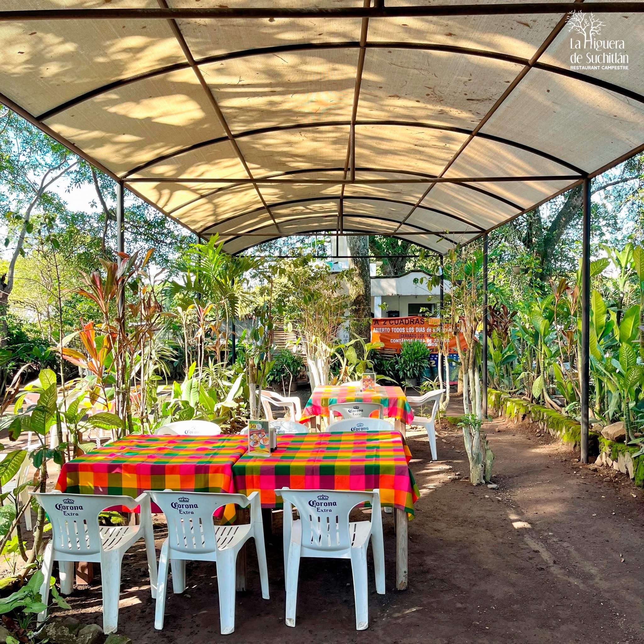 La Higuera de Suchitlan image 9