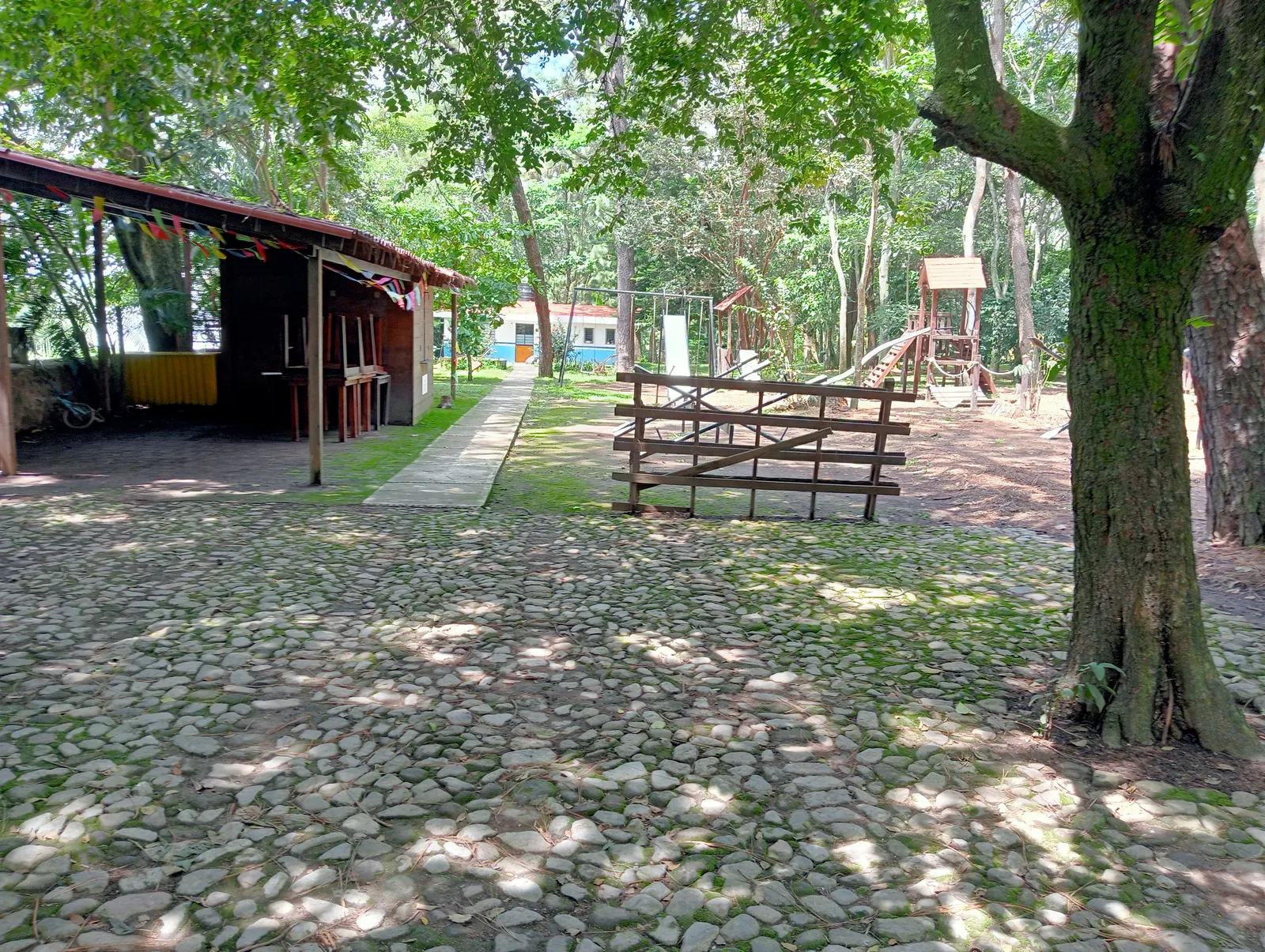 Campestre San Martín de los Pinos image 3
