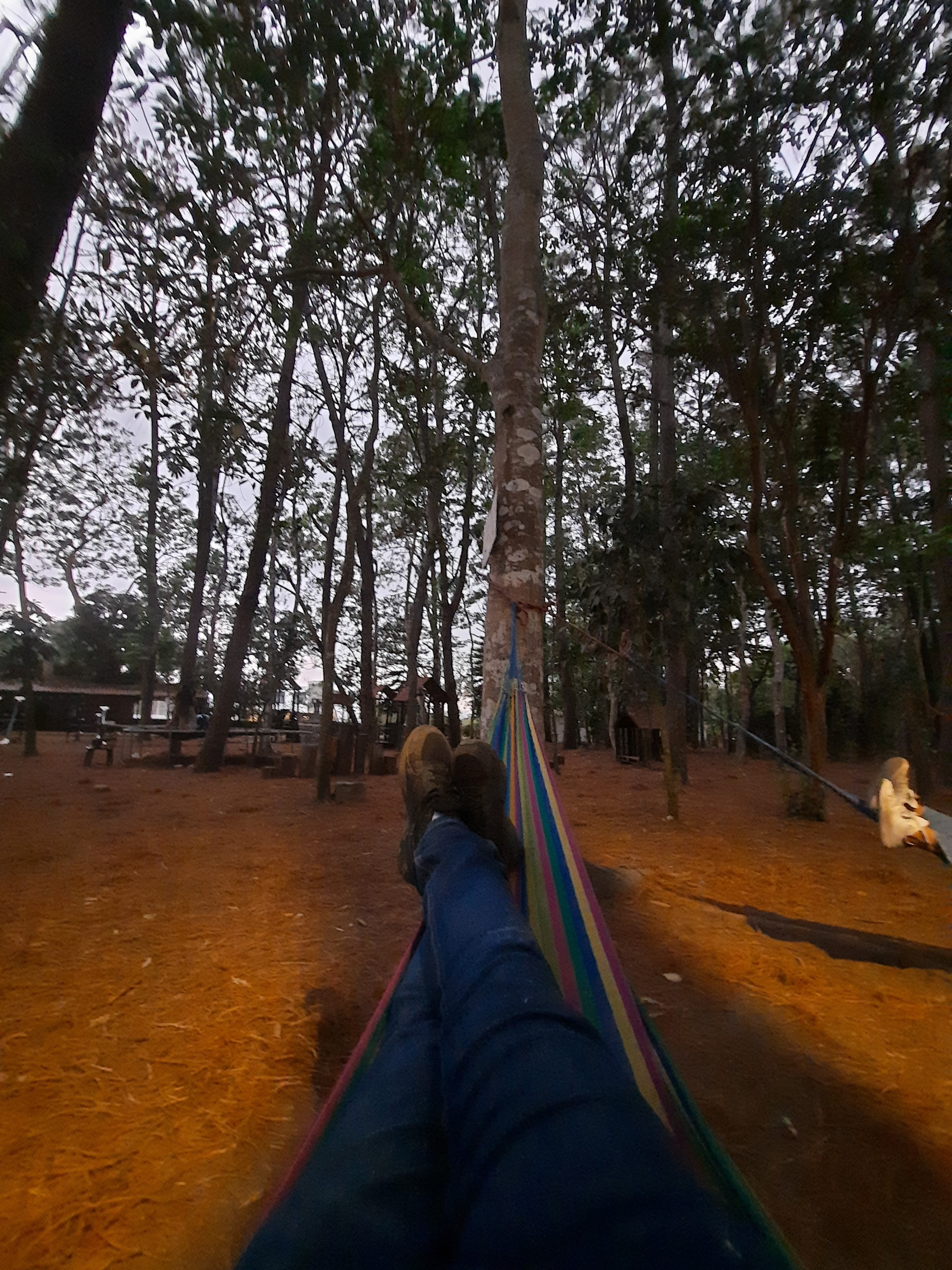 Campestre San Martín de los Pinos image 4