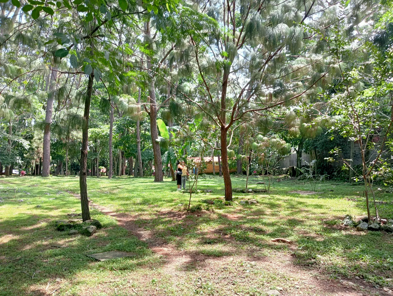 Campestre San Martín de los Pinos image 6