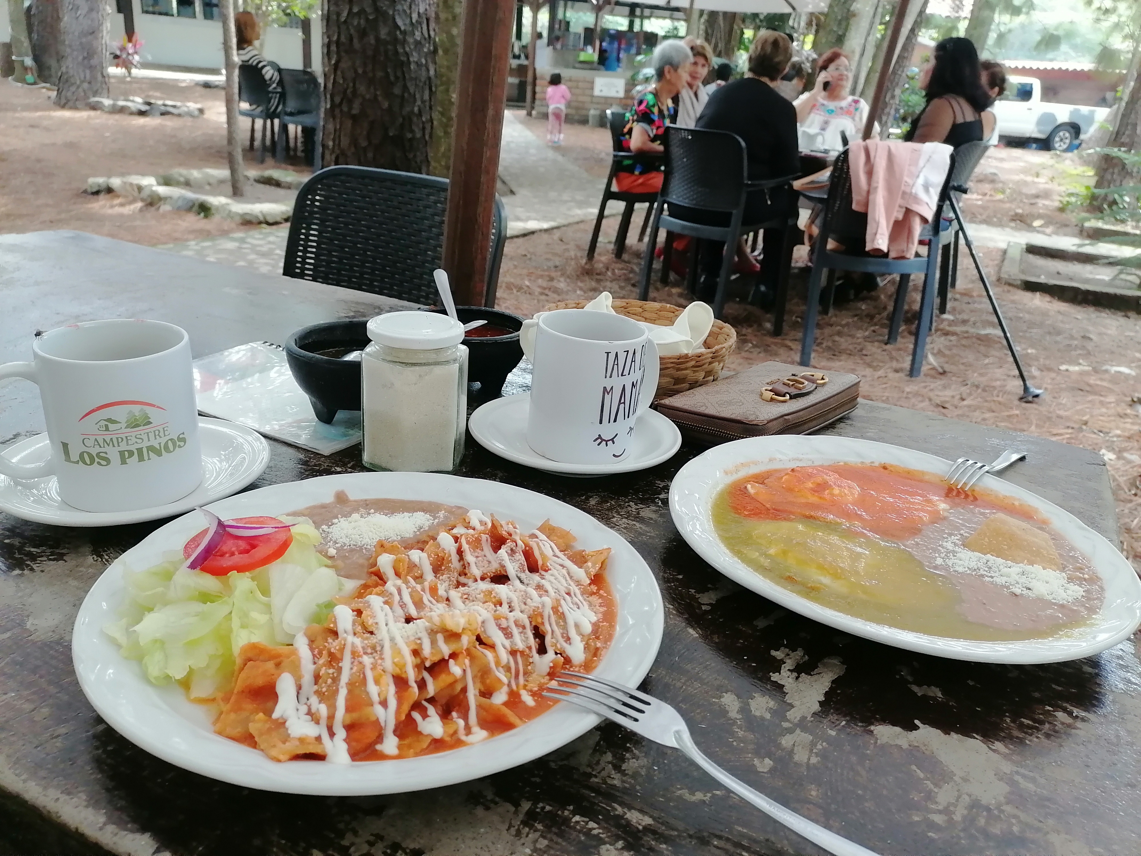 Campestre San Martín de los Pinos image 9