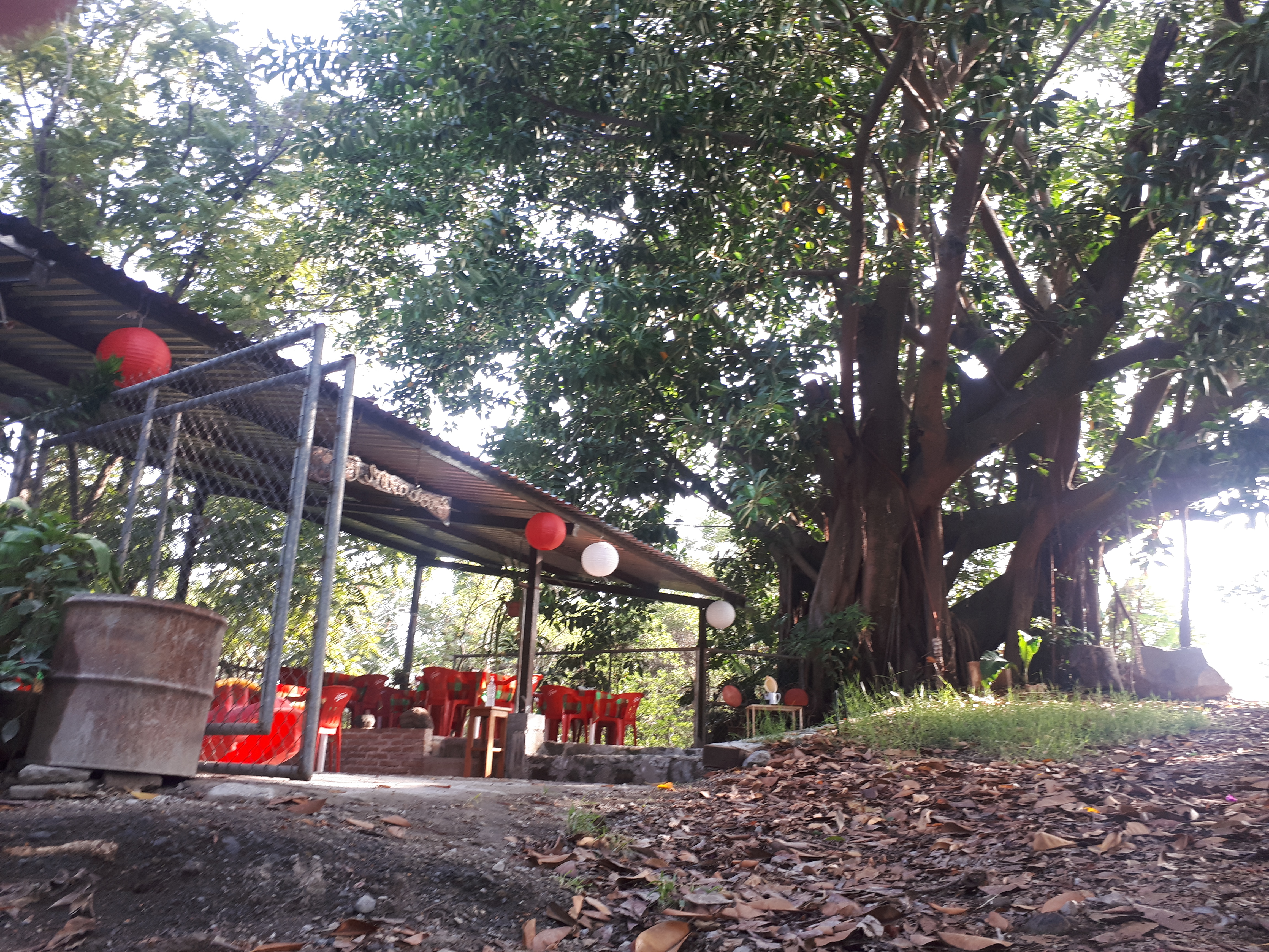 Terraza El Mirador image 5