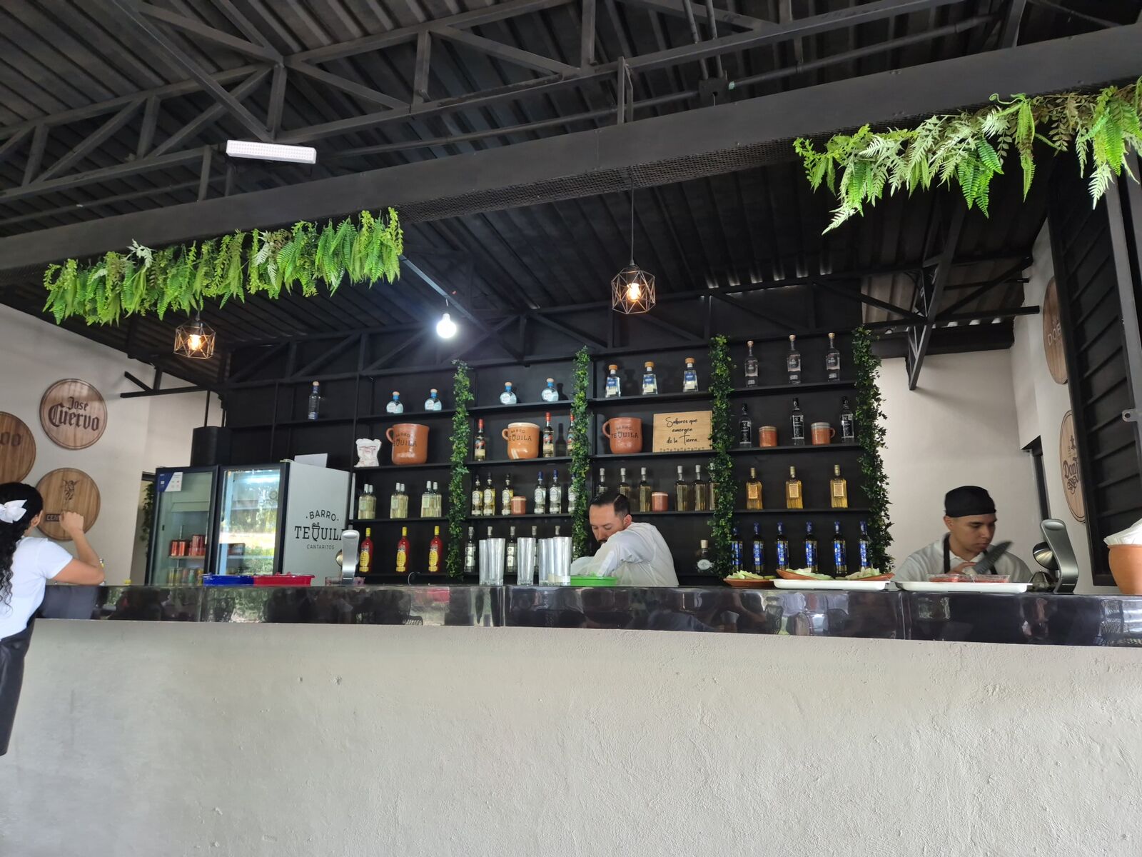 Barro Tequila image 2