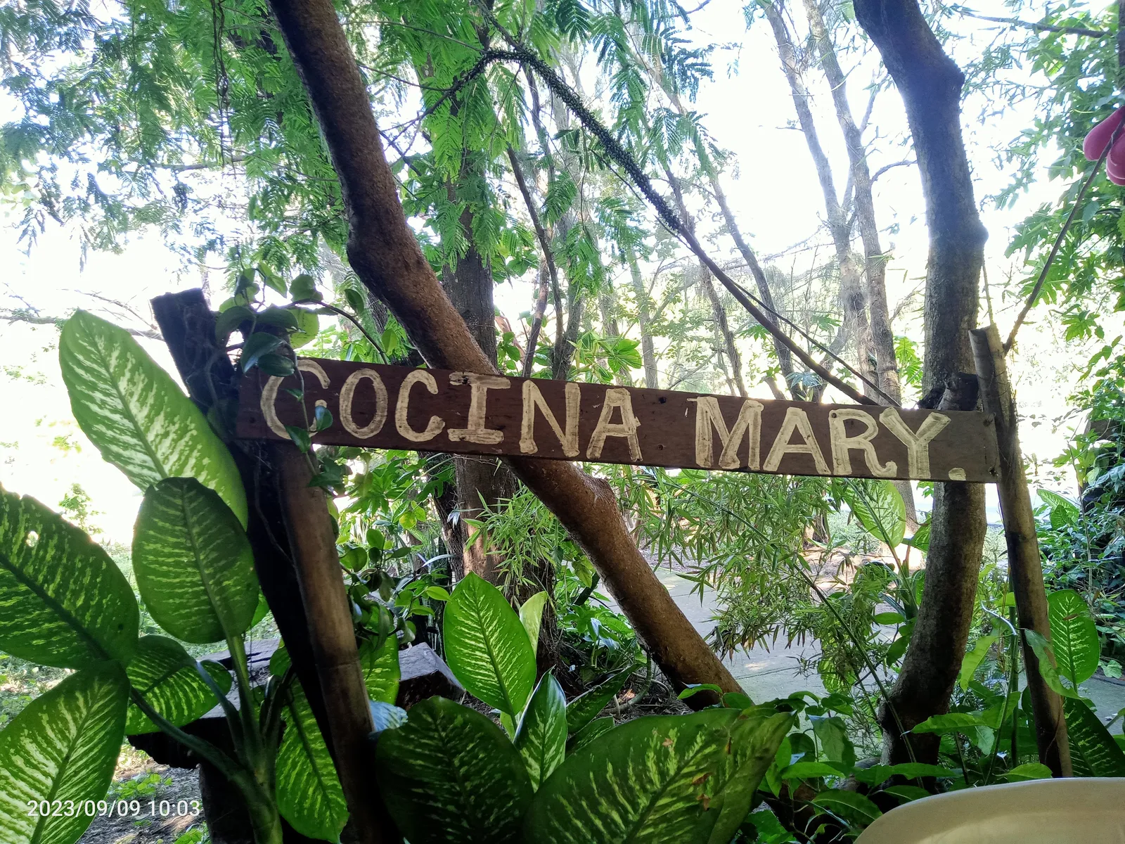 Cocina Rural Suchitlán, "Mary" image 3
