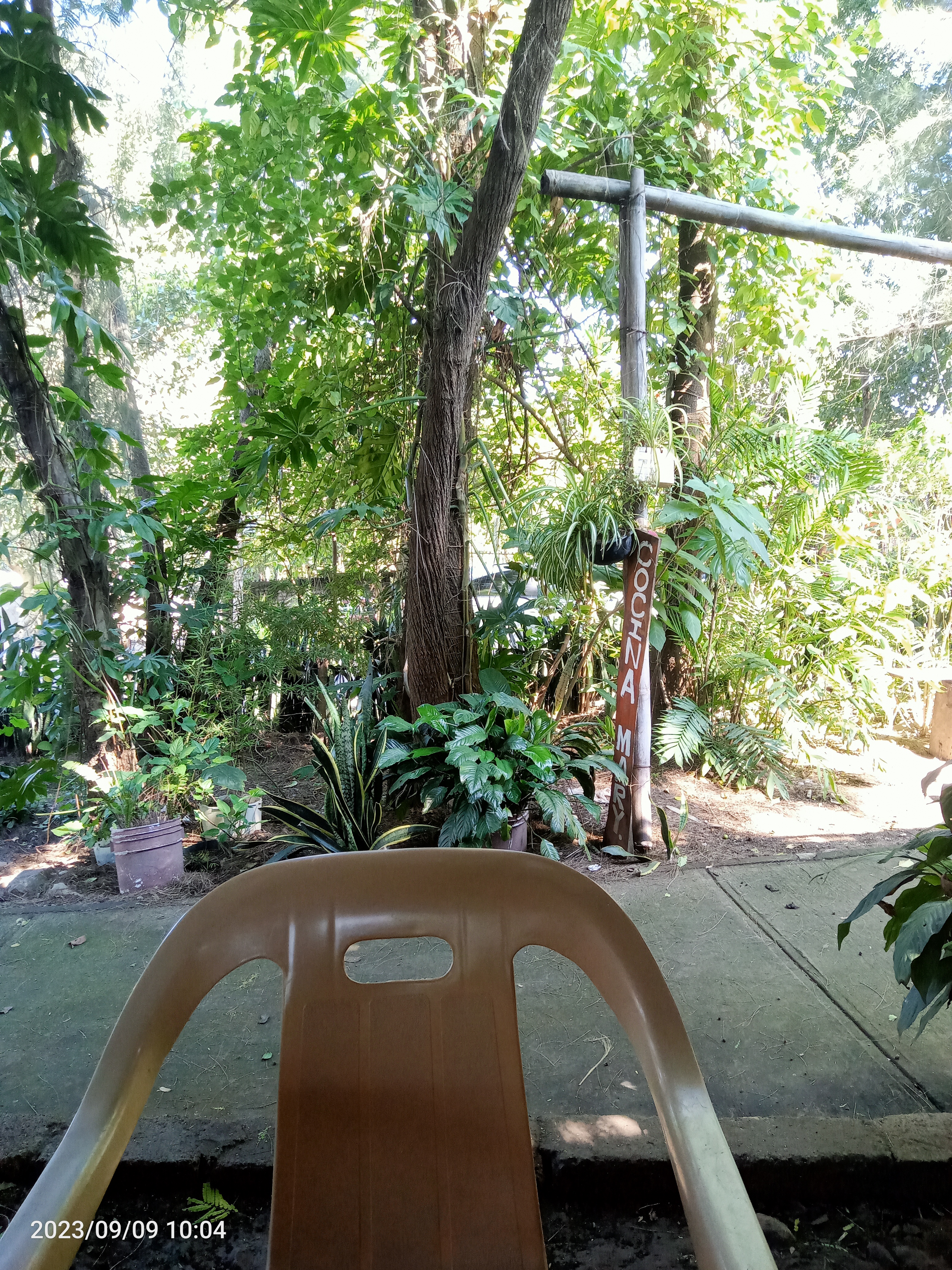 Cocina Rural Suchitlán, "Mary" image 4