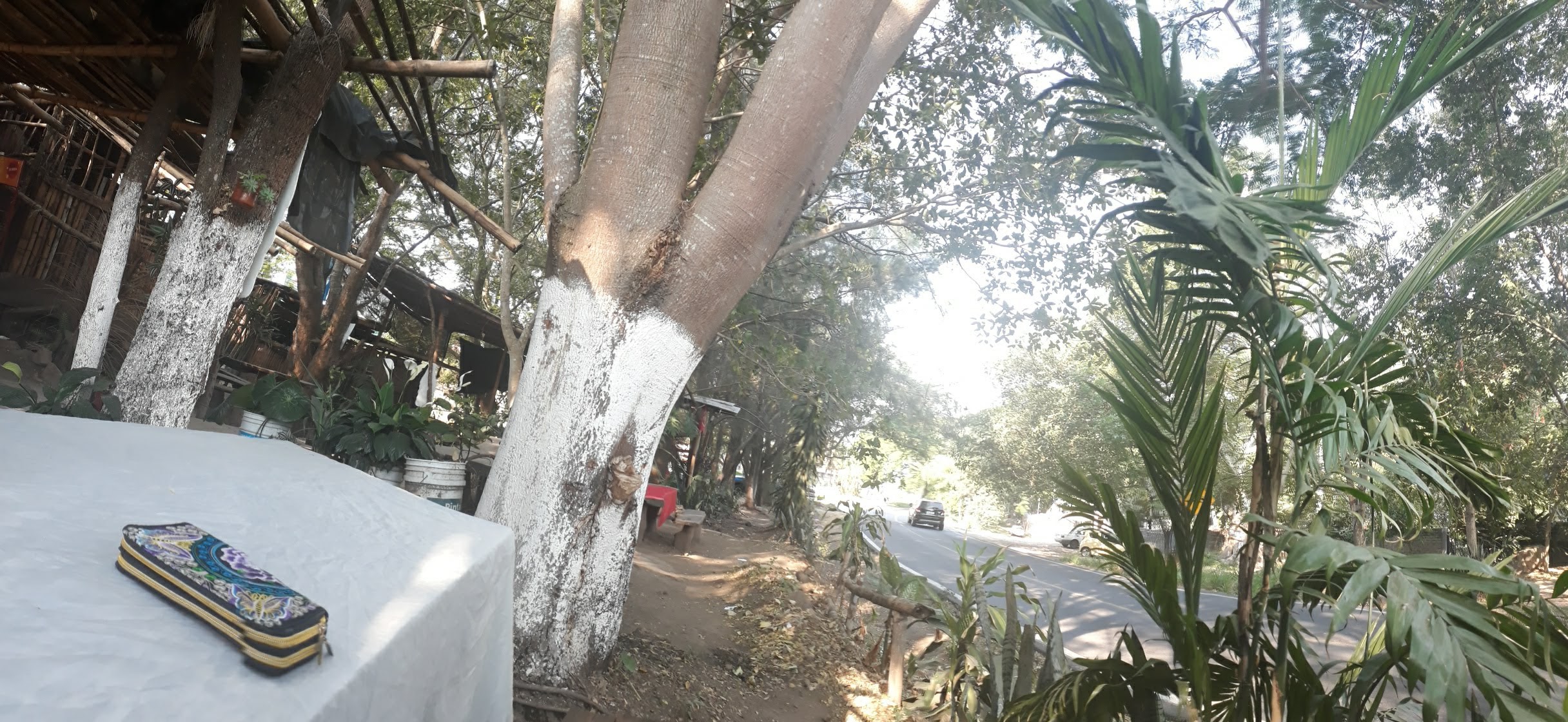 Cocina Rural Suchitlán, "Mary" image 5