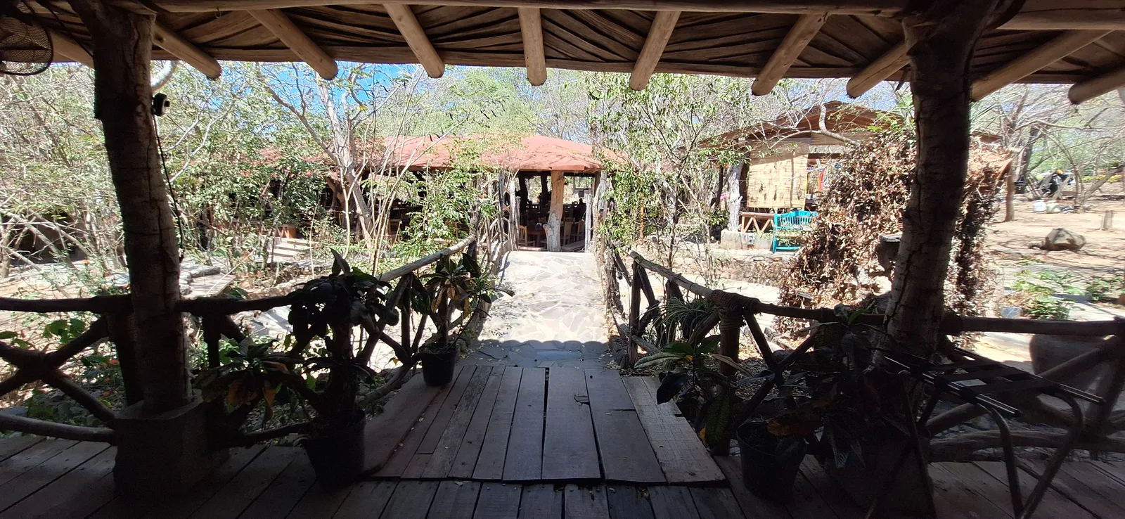Las Jaranas image 2