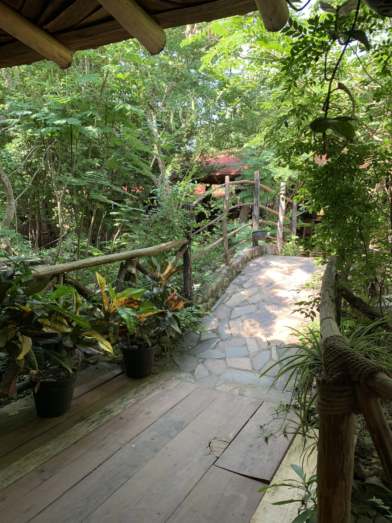Las Jaranas image 6