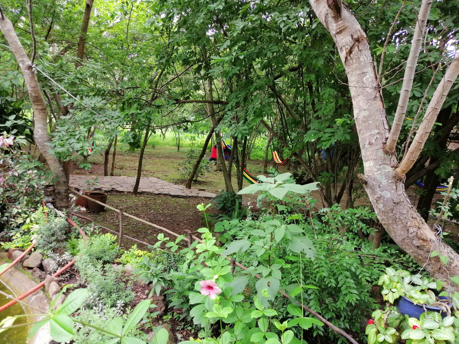 Las Jaranas image 7