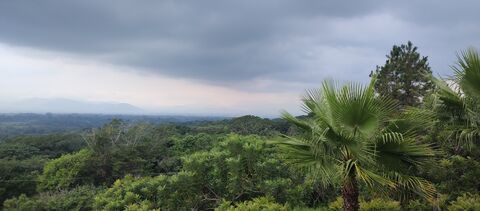 Cobá image 4