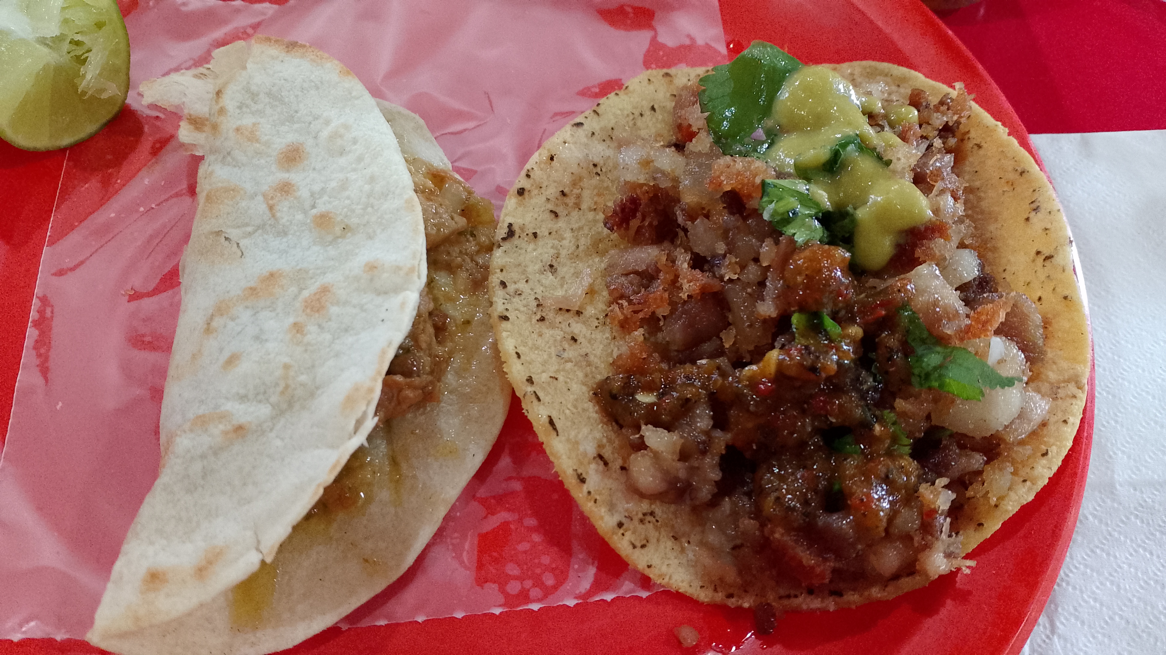 Los Pioneros image 3