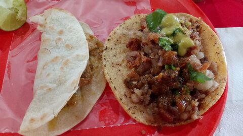 Los Pioneros image 3