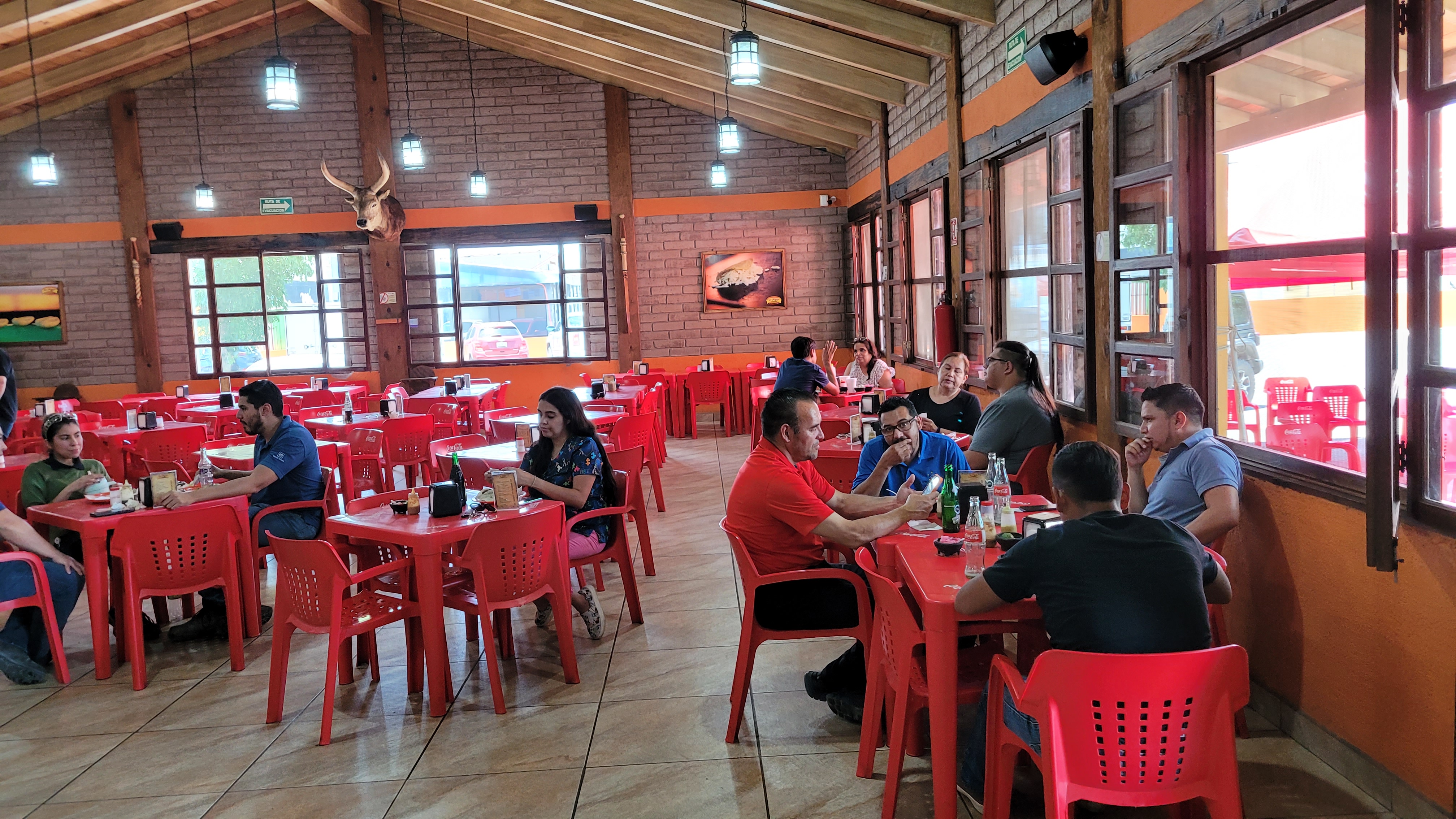 Los Pioneros image 4