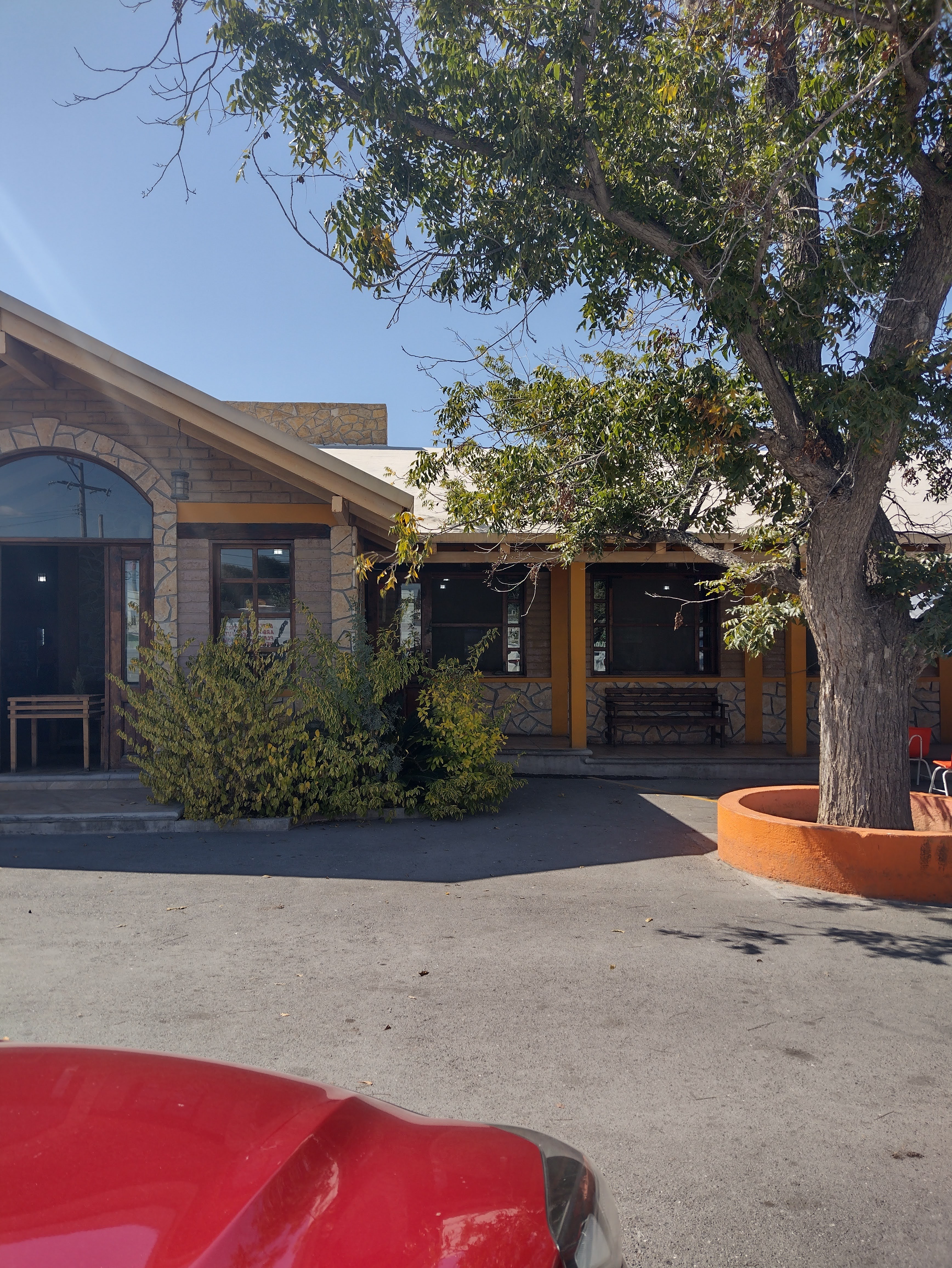 Los Pioneros image 5