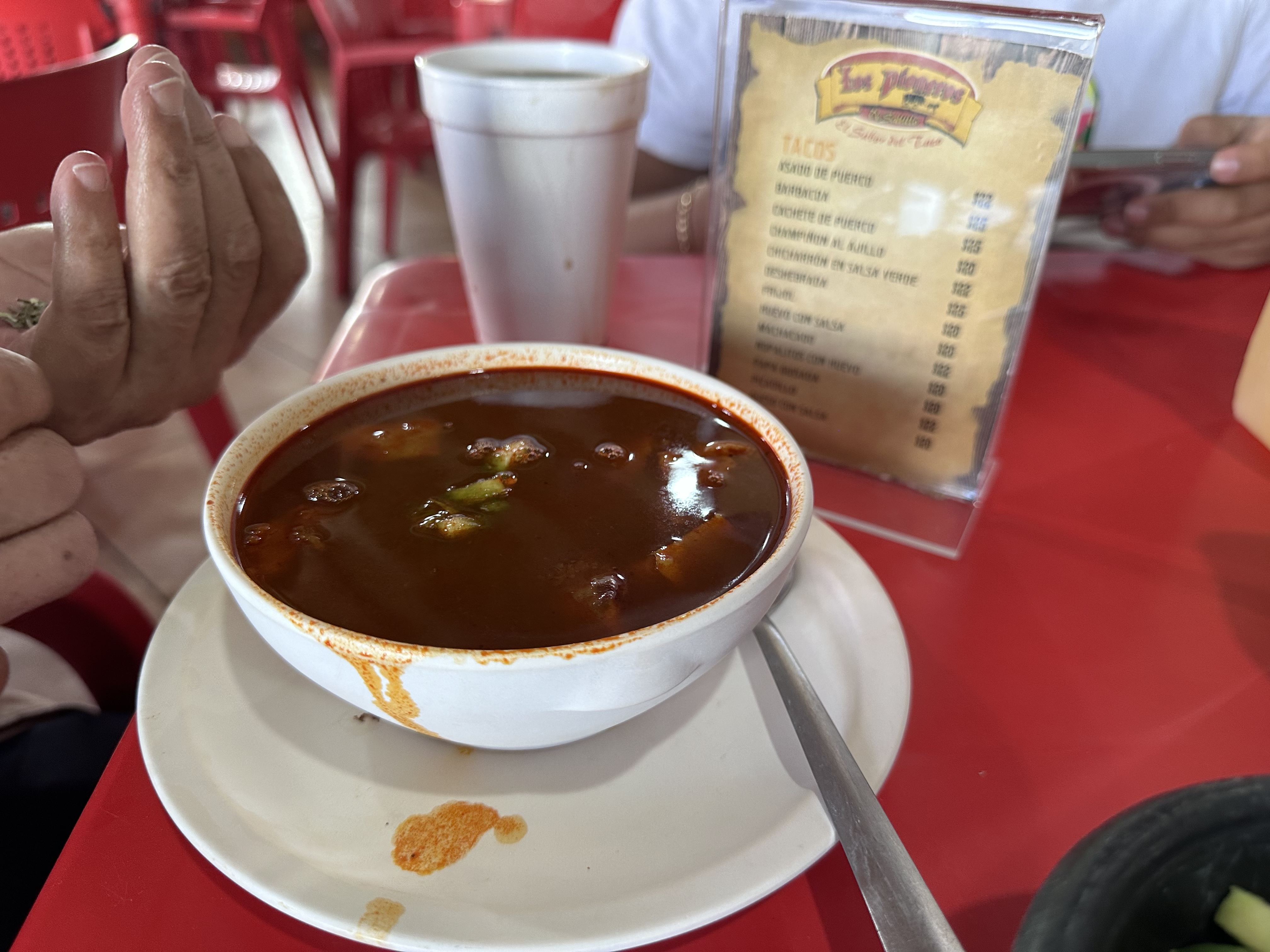 Los Pioneros image 6