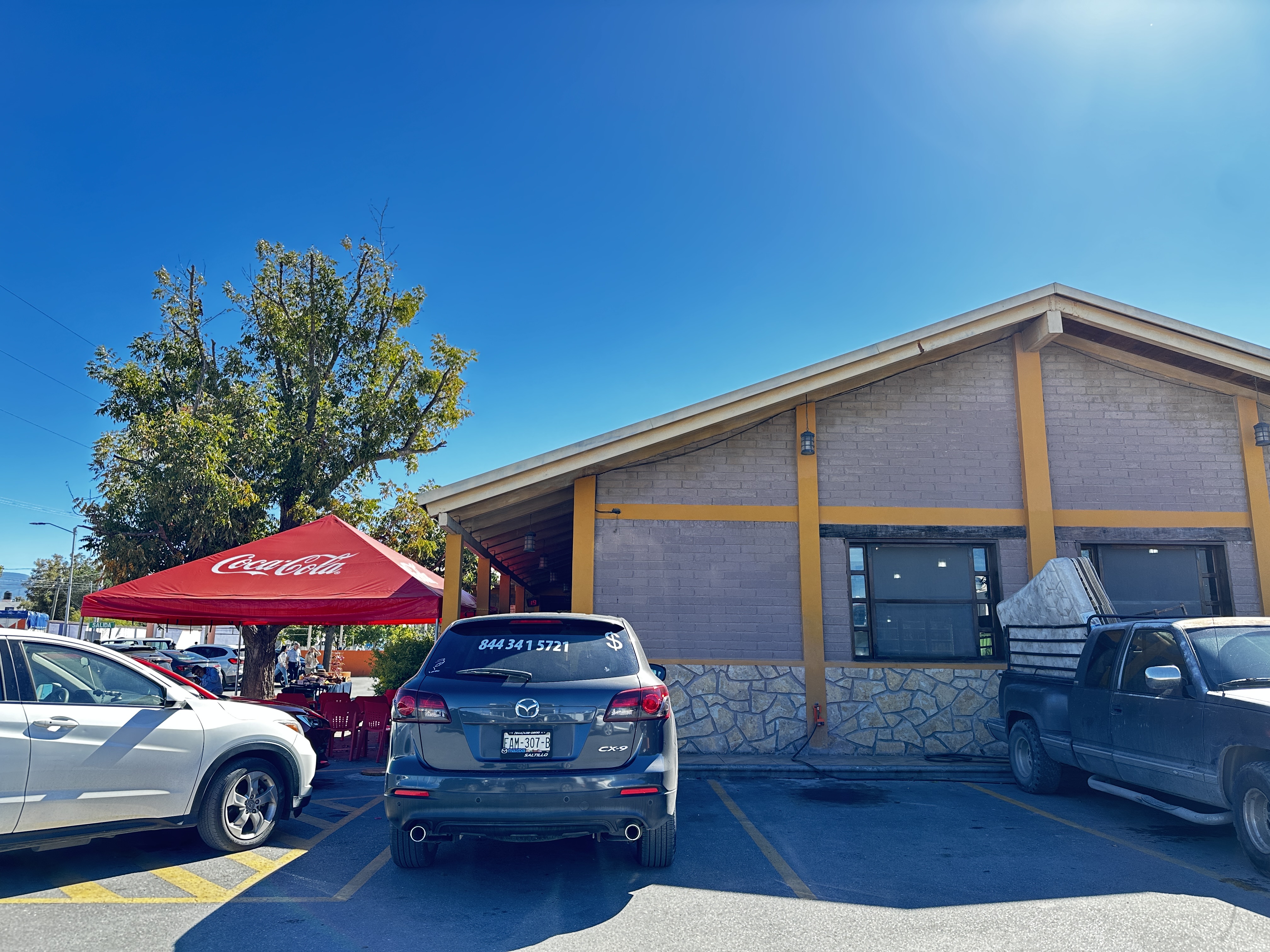 Los Pioneros image 8