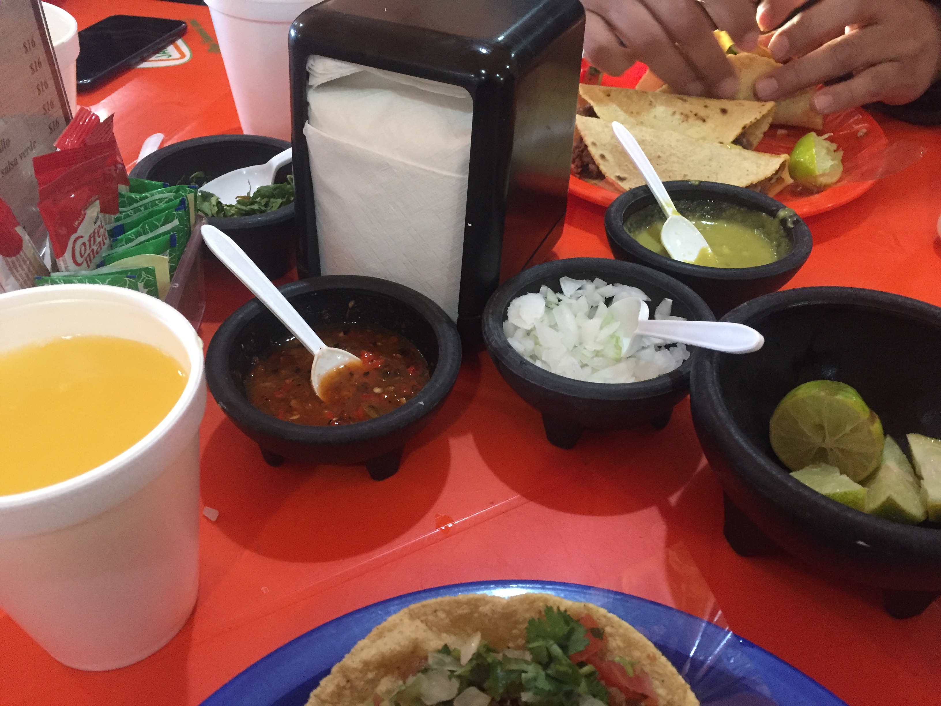 Los Pioneros image 9