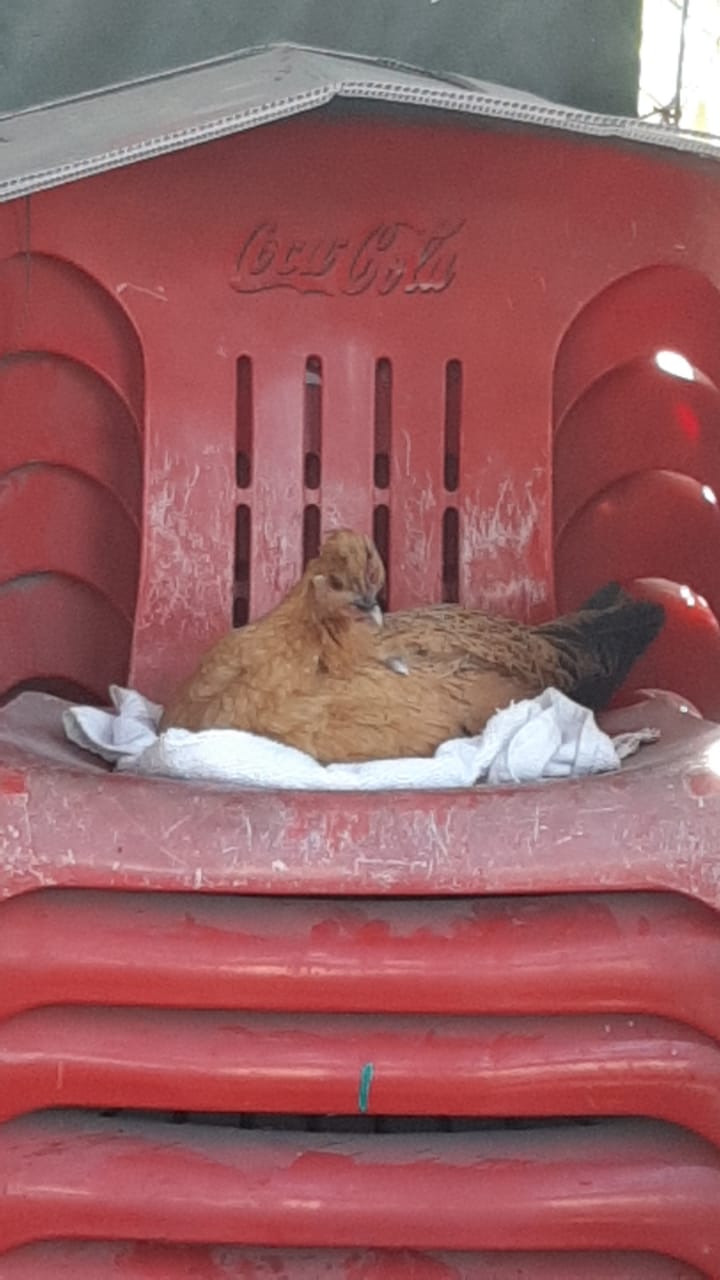 Birrias Don Chuy image 8