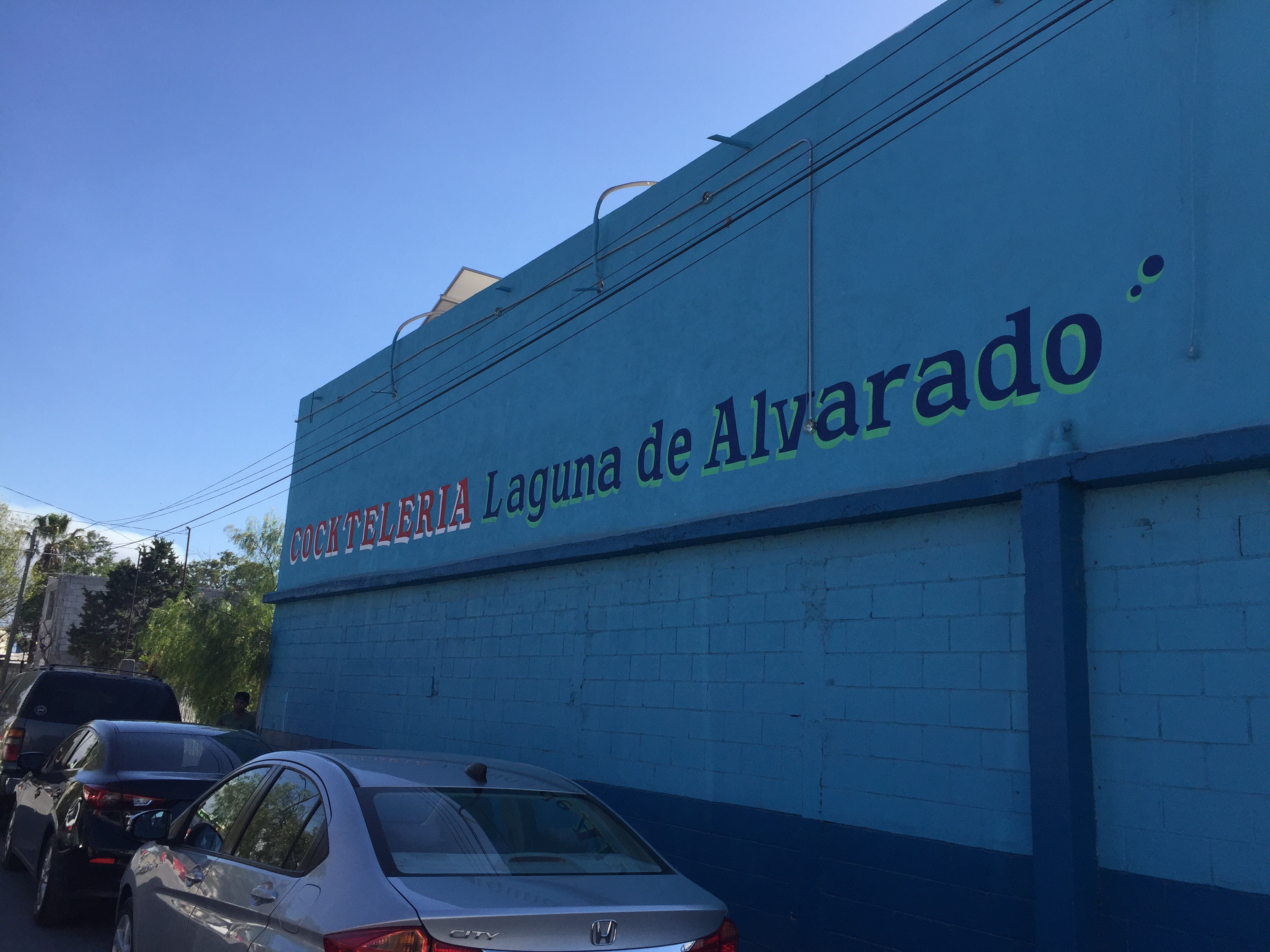 Laguna De Alvarado image 1