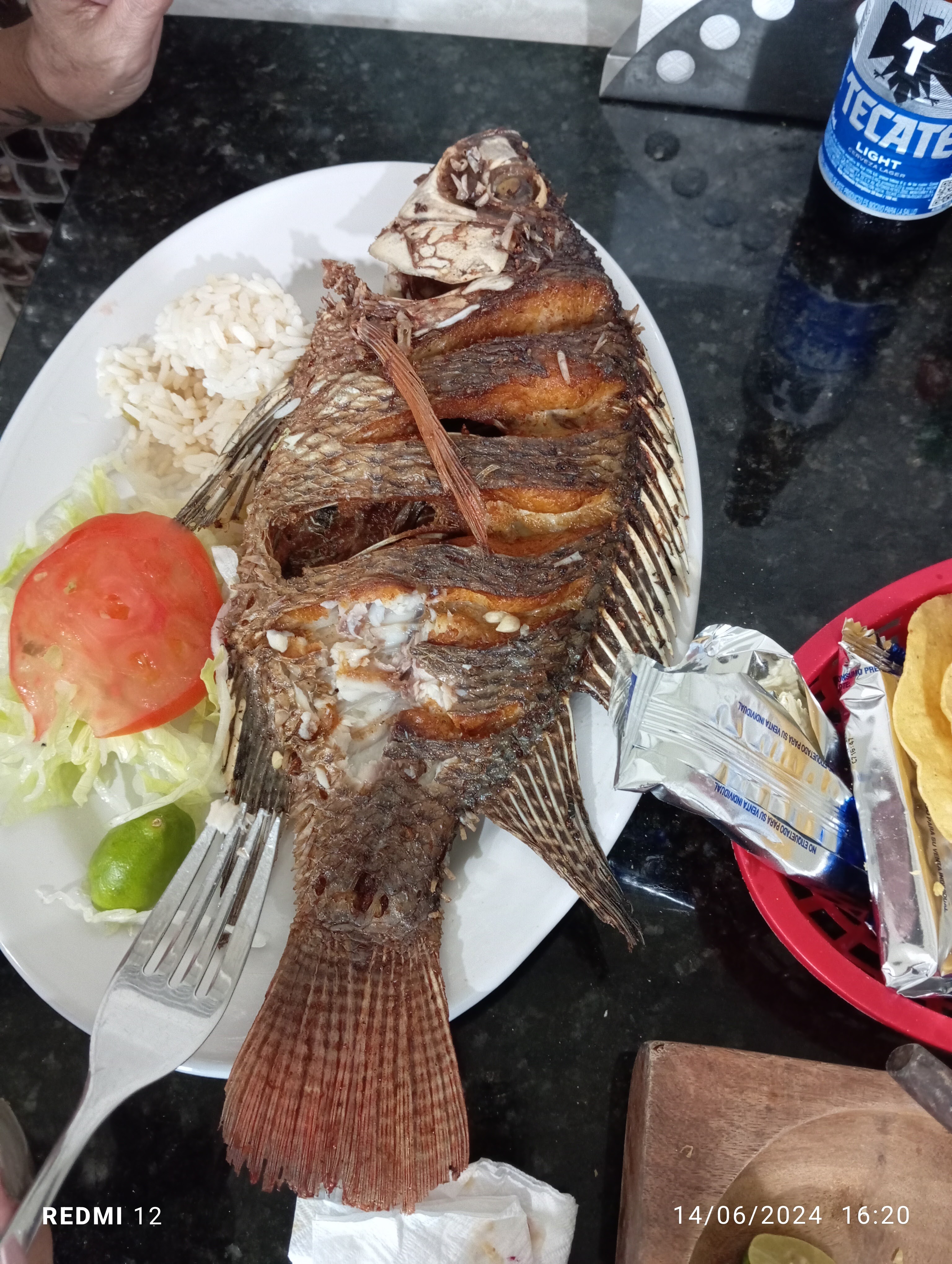 Laguna De Alvarado image 7