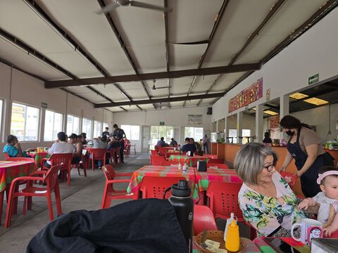 Copelos image 1