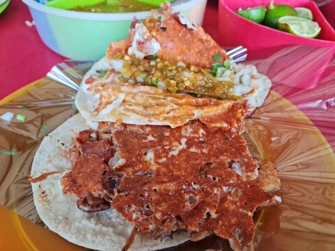 Copelos image 5