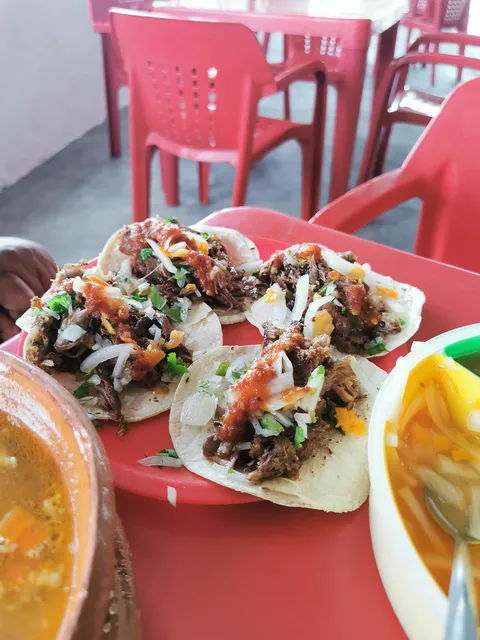 Copelos image 8