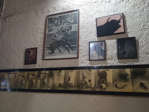 Las Trancas image 6
