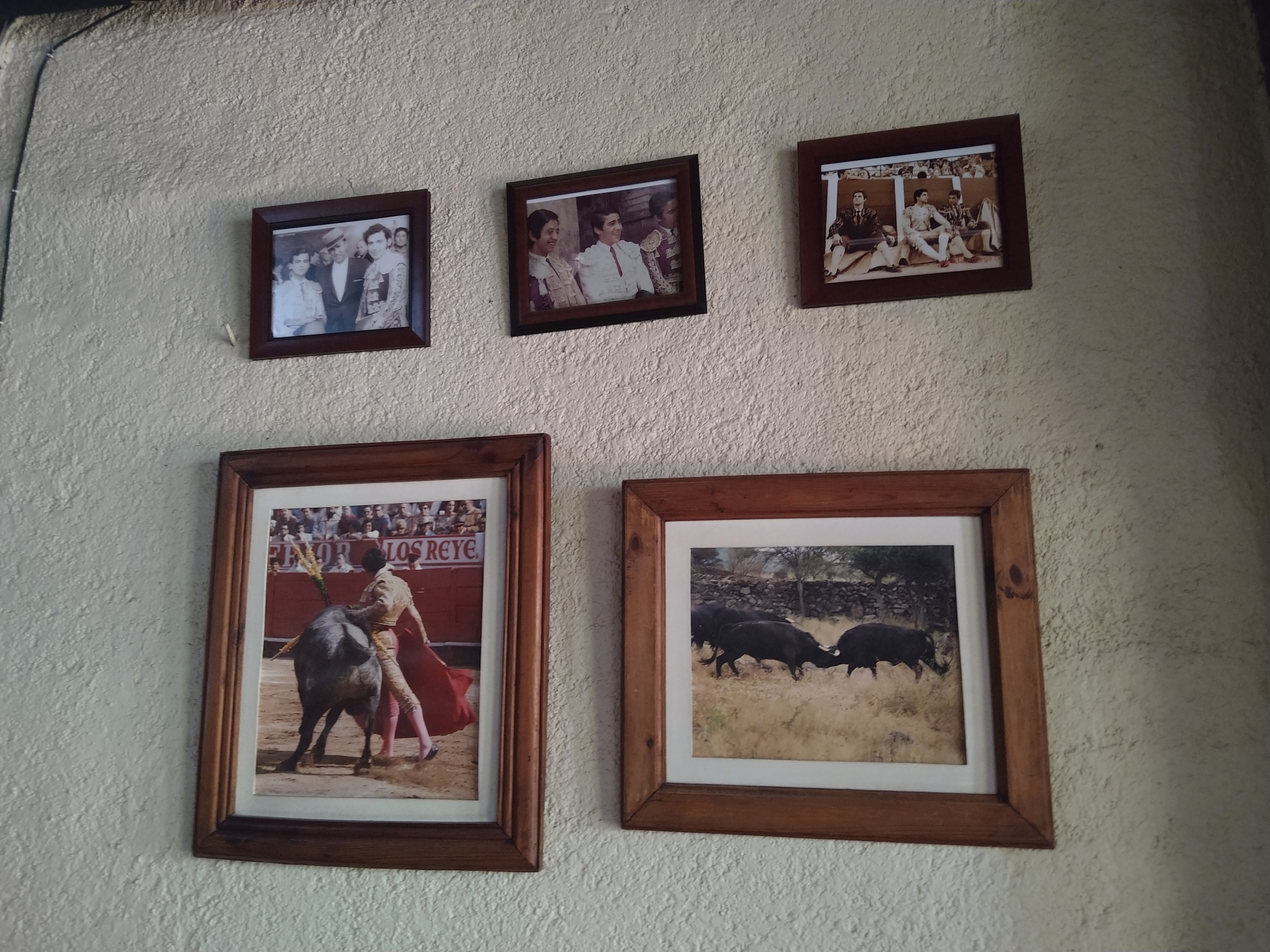 Las Trancas image 10