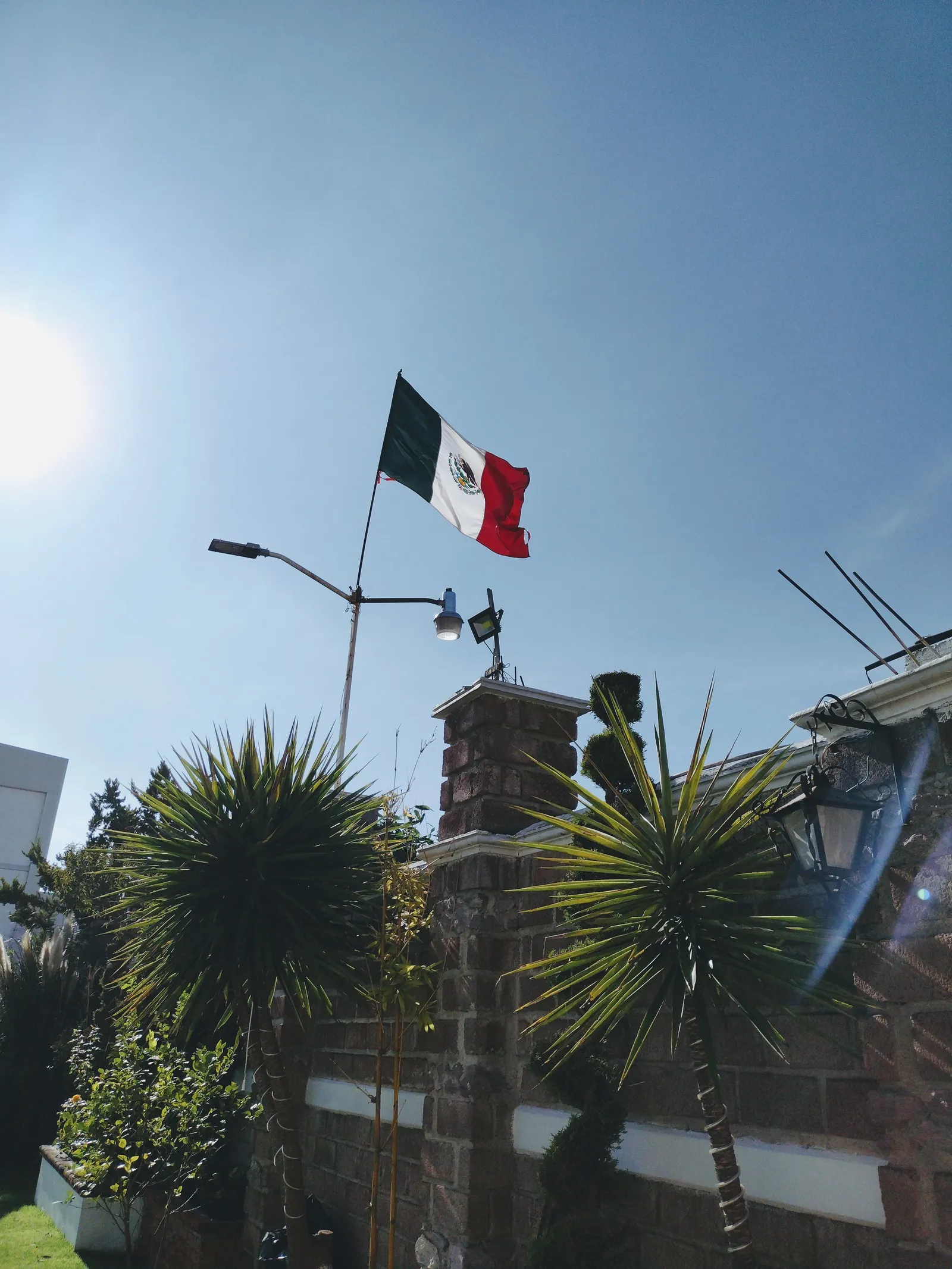 Salon Jardin Los Alcanfores image 5