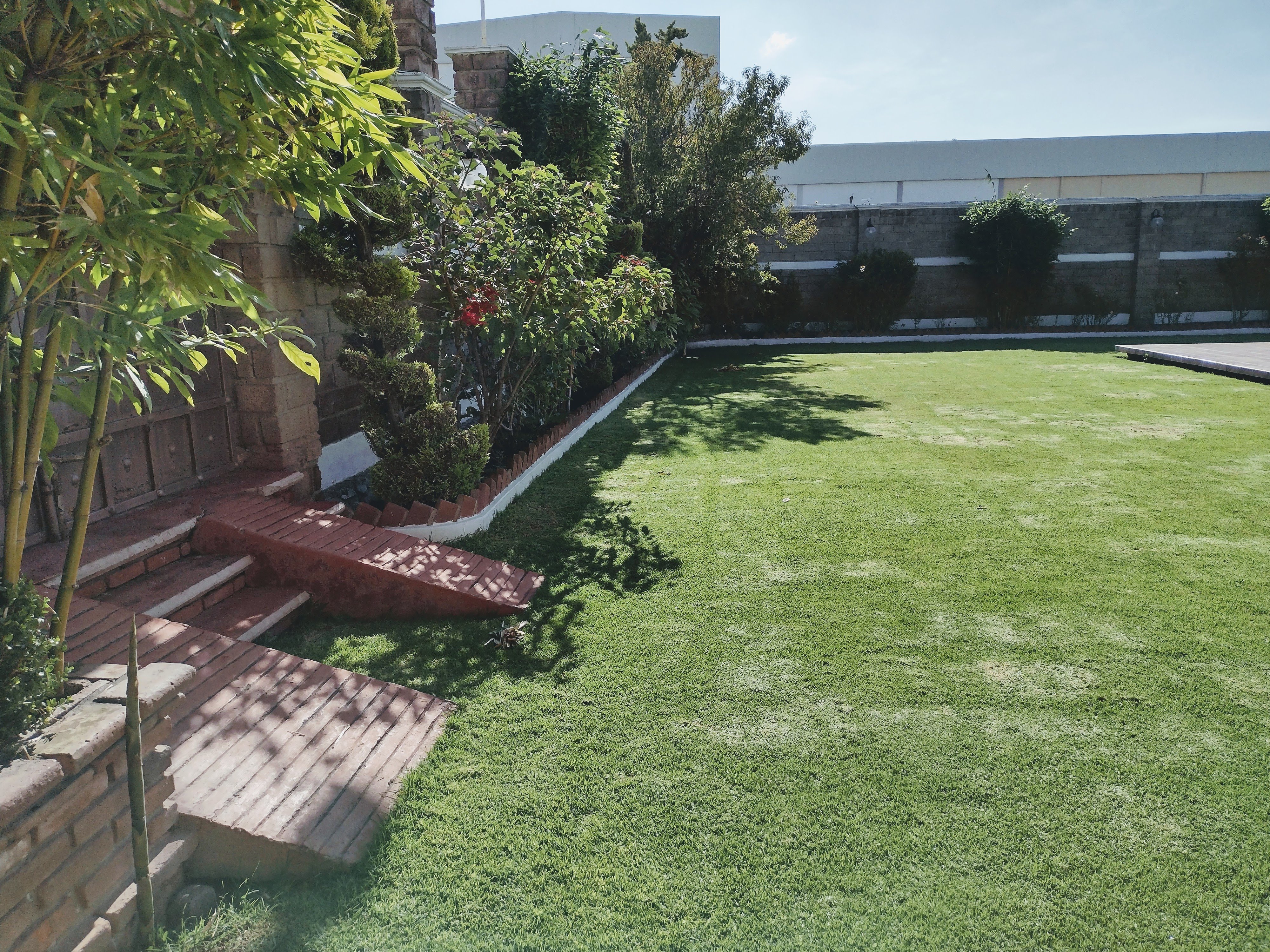 Salon Jardin Los Alcanfores image 7