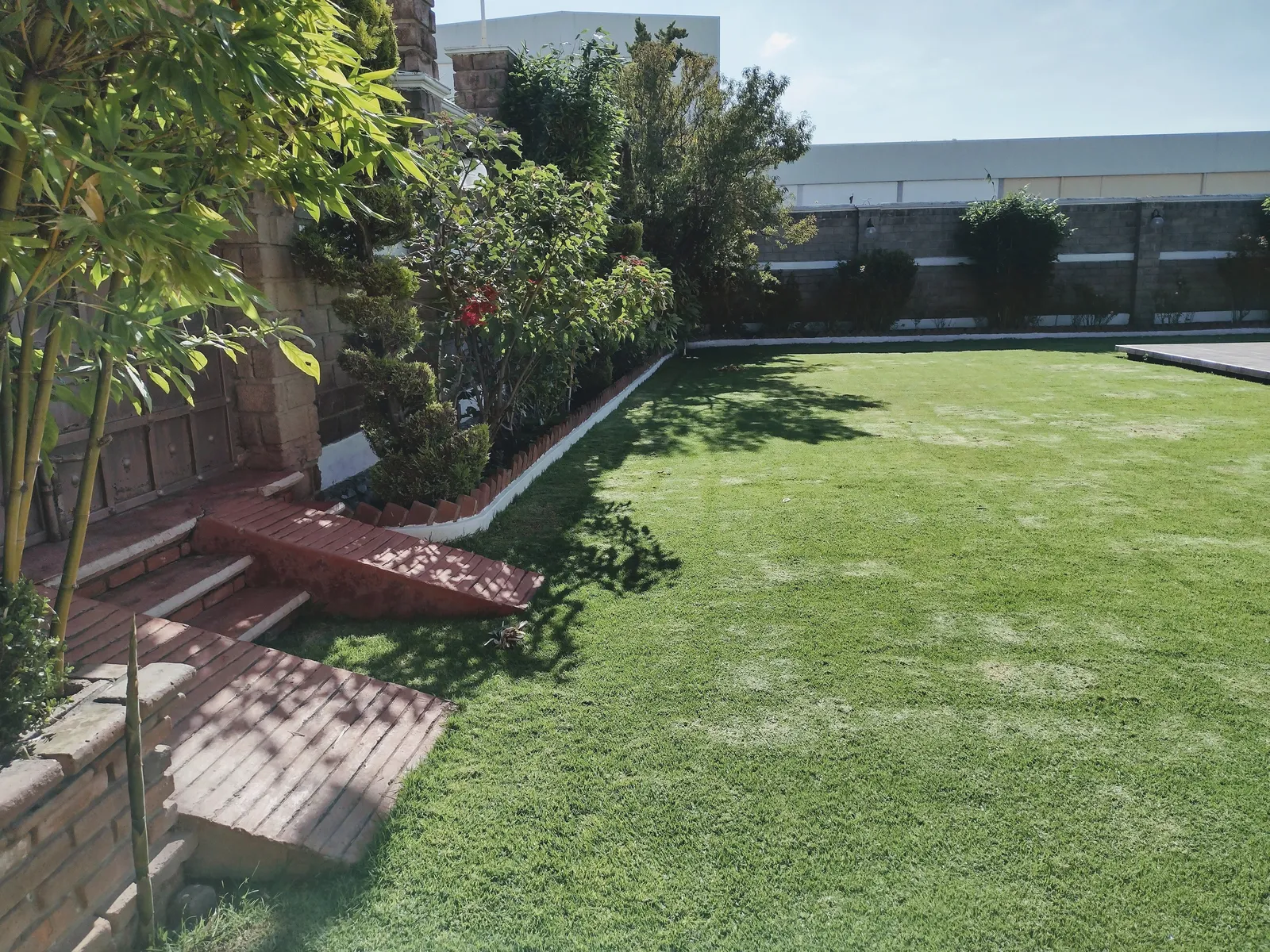 Salon Jardin Los Alcanfores image 7