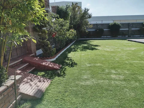 Salon Jardin Los Alcanfores image 7
